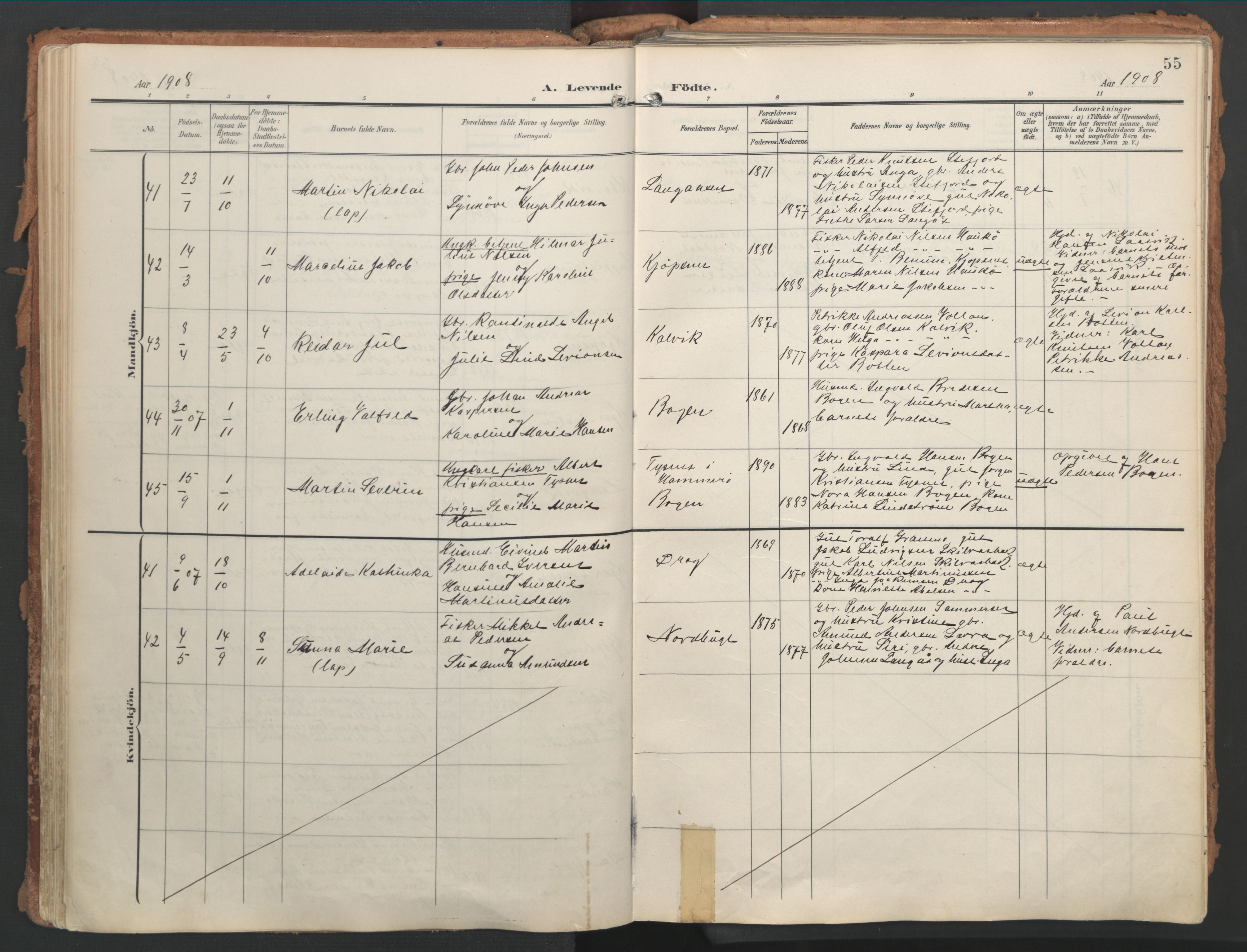 Ministerialprotokoller, klokkerbøker og fødselsregistre - Nordland, AV/SAT-A-1459/861/L0871: Parish register (official) no. 861A06, 1903-1916, p. 55