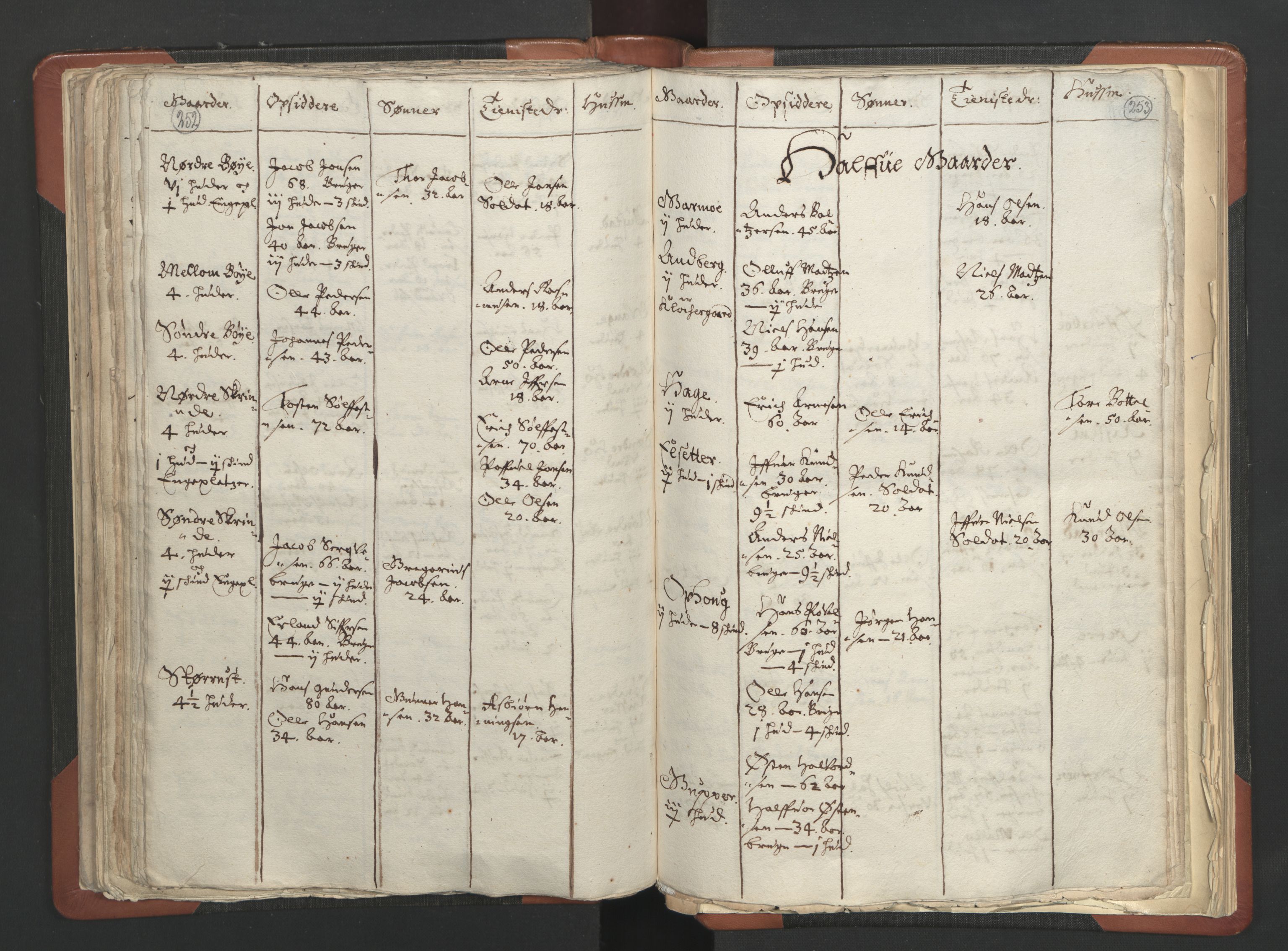 RA, Vicar's Census 1664-1666, no. 6: Gudbrandsdal deanery, 1664-1666, p. 252-253