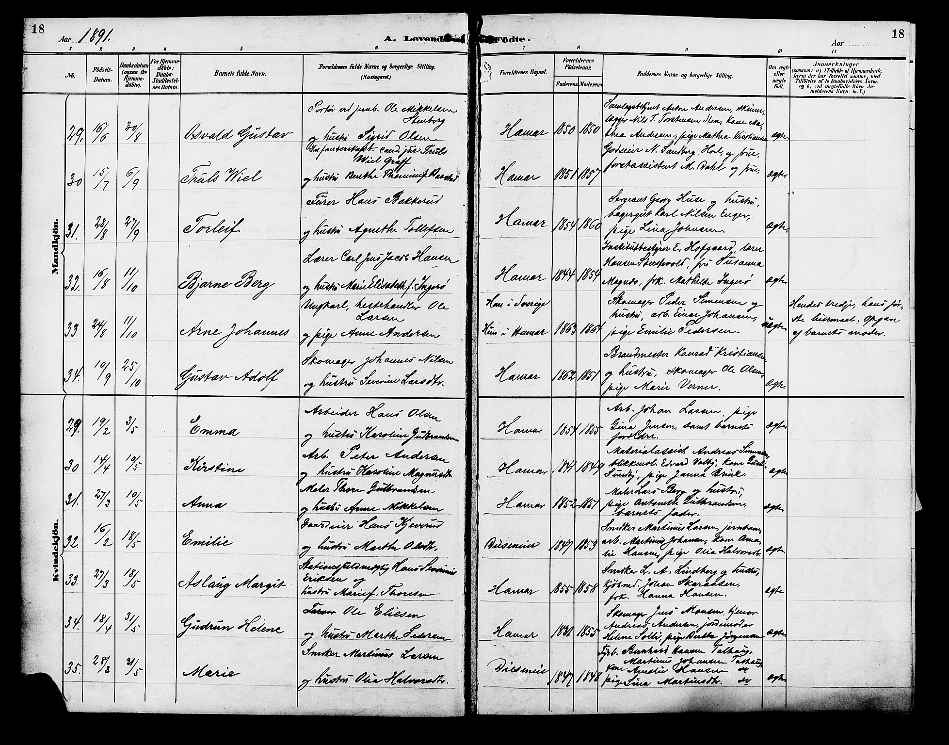 Vang prestekontor, Hedmark, AV/SAH-PREST-008/H/Ha/Hab/L0013: Parish register (copy) no. 13, 1890-1899, p. 18