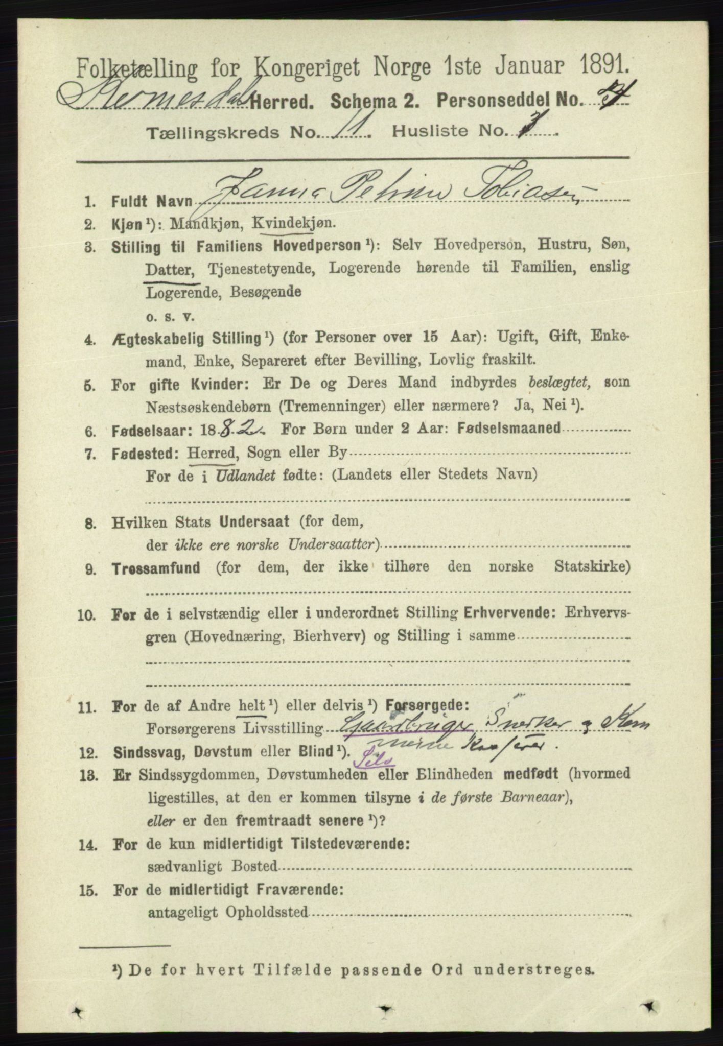 RA, 1891 census for 1037 Kvinesdal, 1891, p. 4508