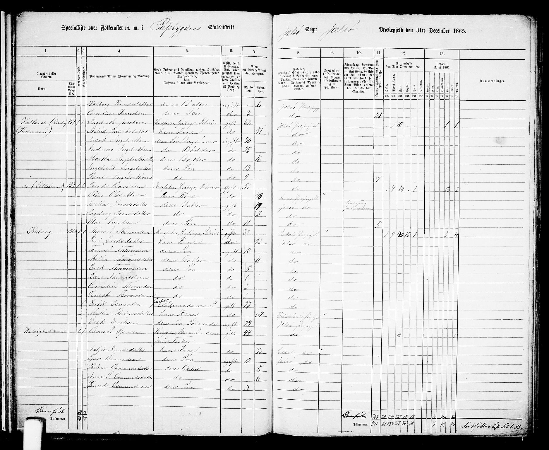 RA, 1865 census for Jelsa, 1865, p. 20