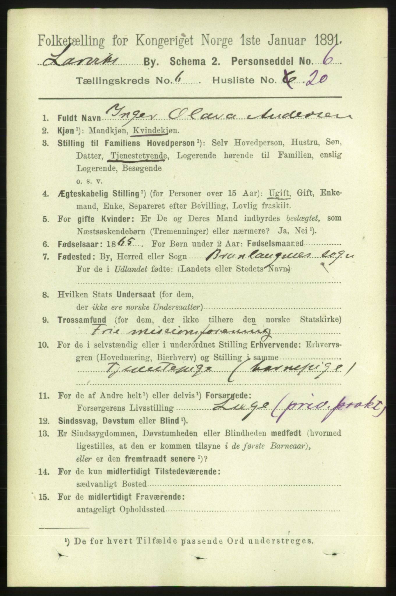 RA, 1891 census for 0707 Larvik, 1891, p. 6807