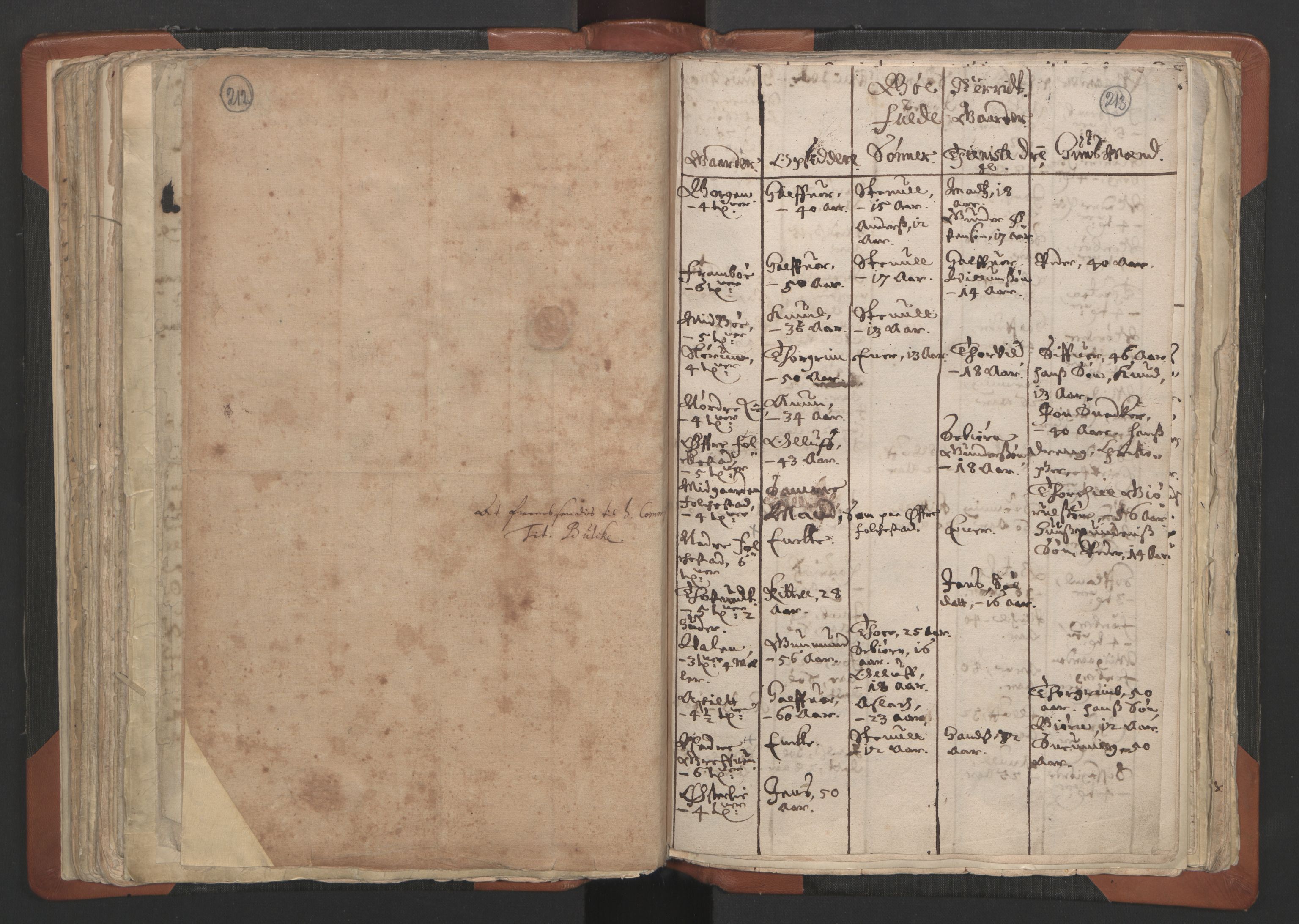 RA, Vicar's Census 1664-1666, no. 12: Øvre Telemark deanery, Nedre Telemark deanery and Bamble deanery, 1664-1666, p. 212-213