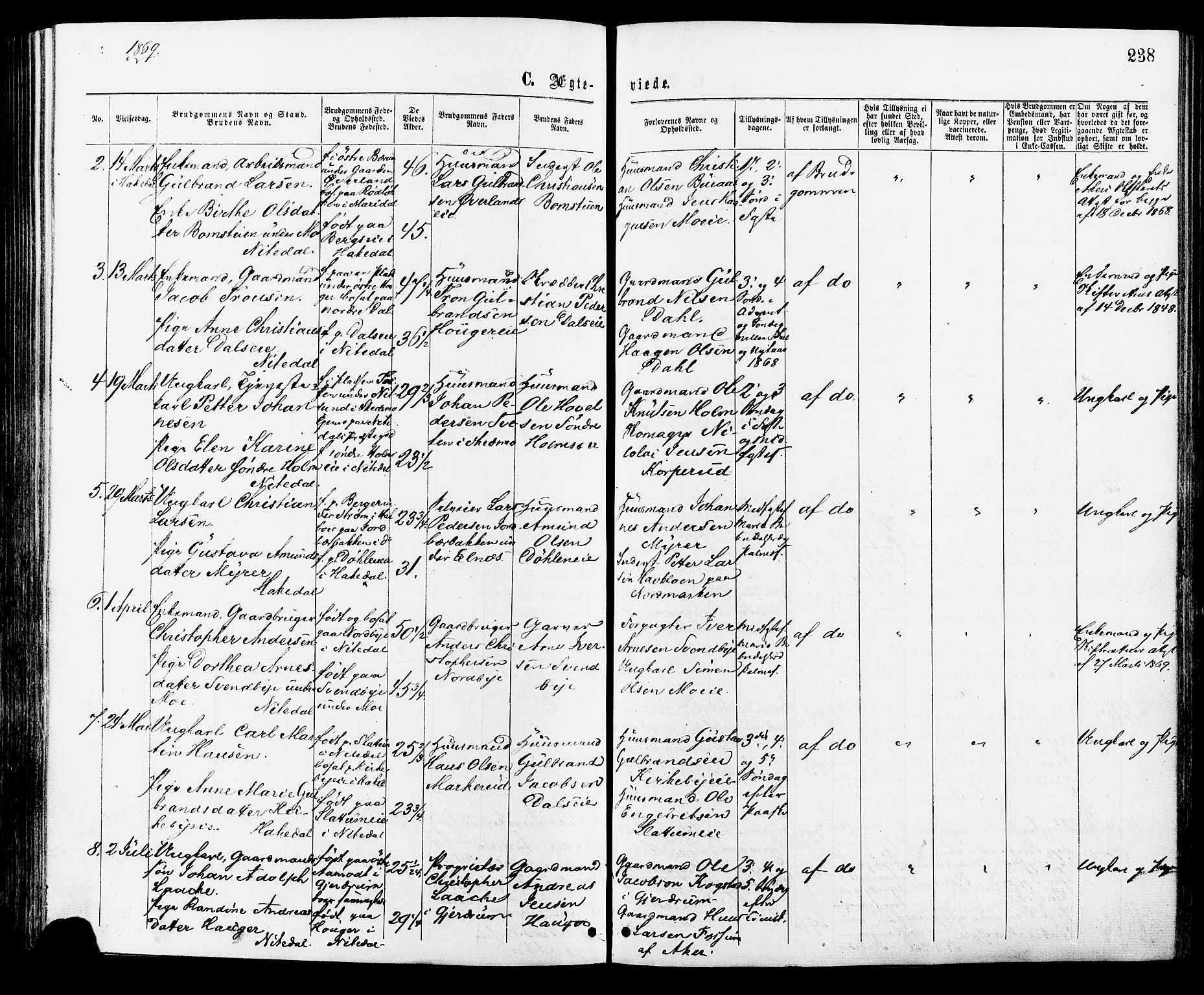 Nittedal prestekontor Kirkebøker, AV/SAO-A-10365a/F/Fa/L0006: Parish register (official) no. I 6, 1863-1878, p. 238