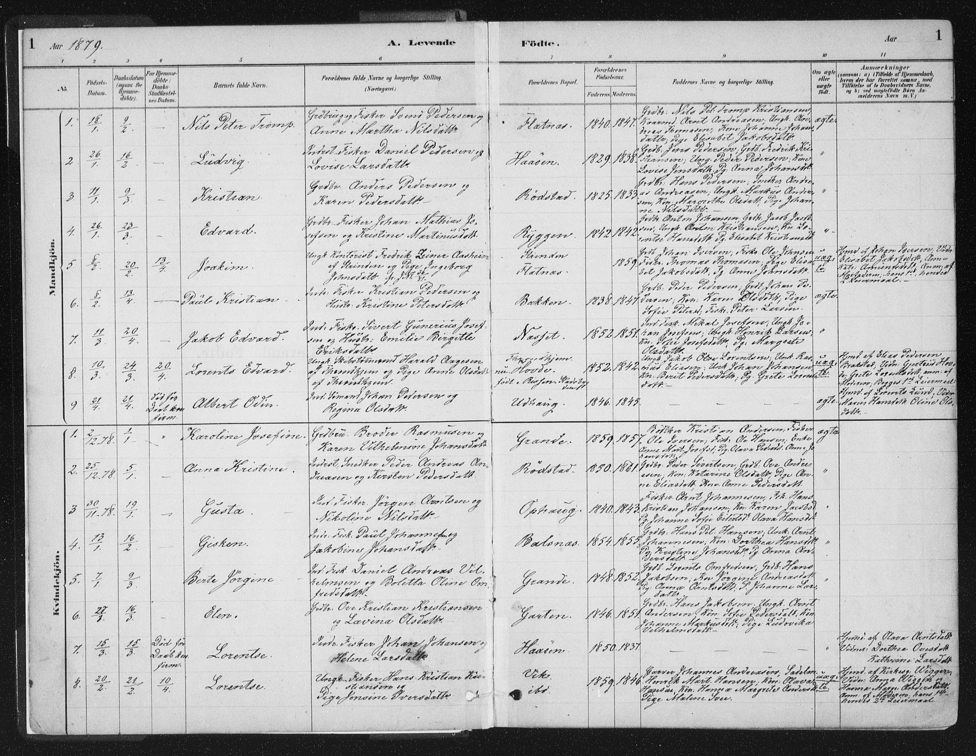 Ministerialprotokoller, klokkerbøker og fødselsregistre - Sør-Trøndelag, AV/SAT-A-1456/659/L0739: Parish register (official) no. 659A09, 1879-1893, p. 1