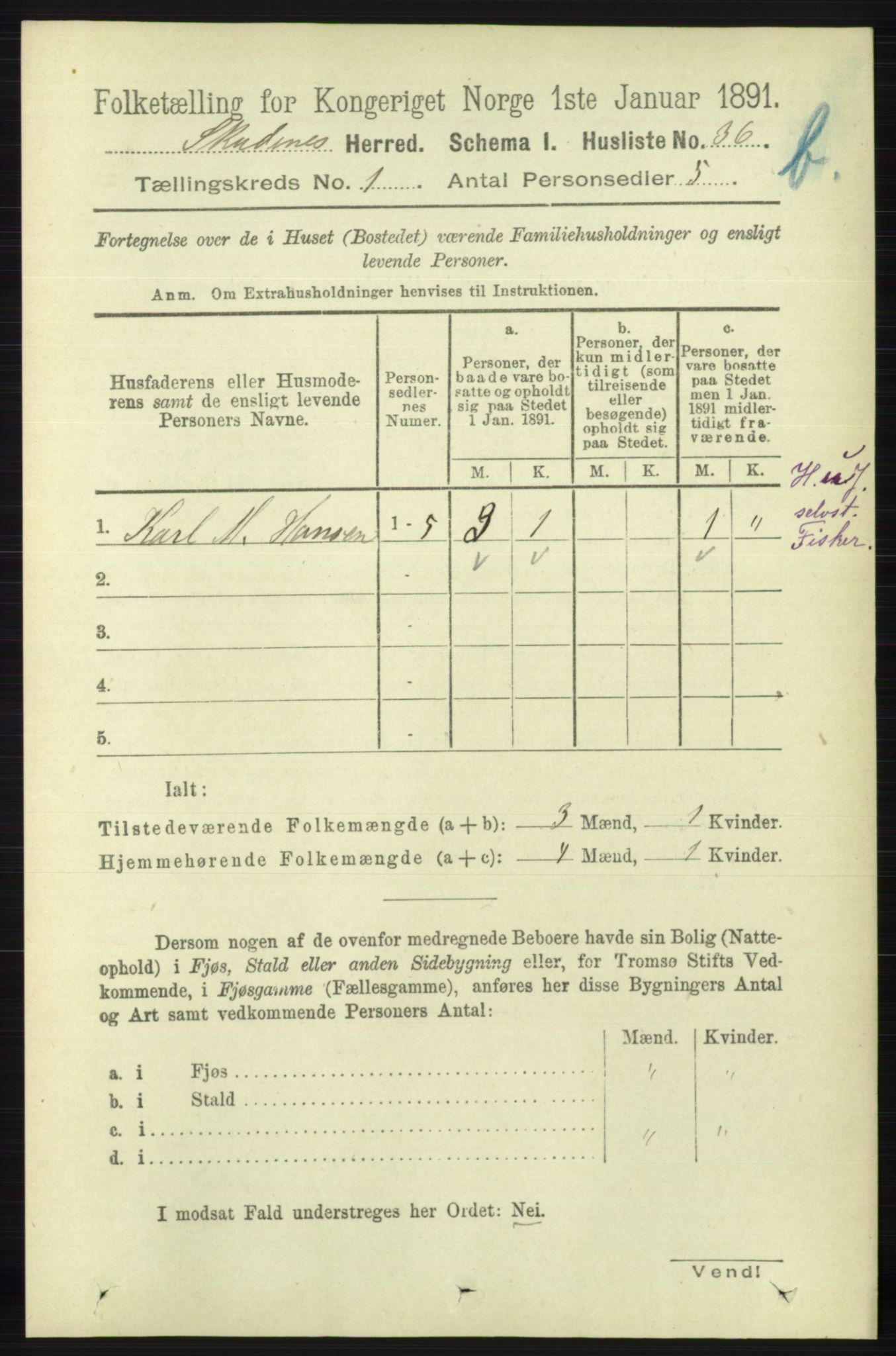 RA, 1891 census for 1150 Skudenes, 1891, p. 3381