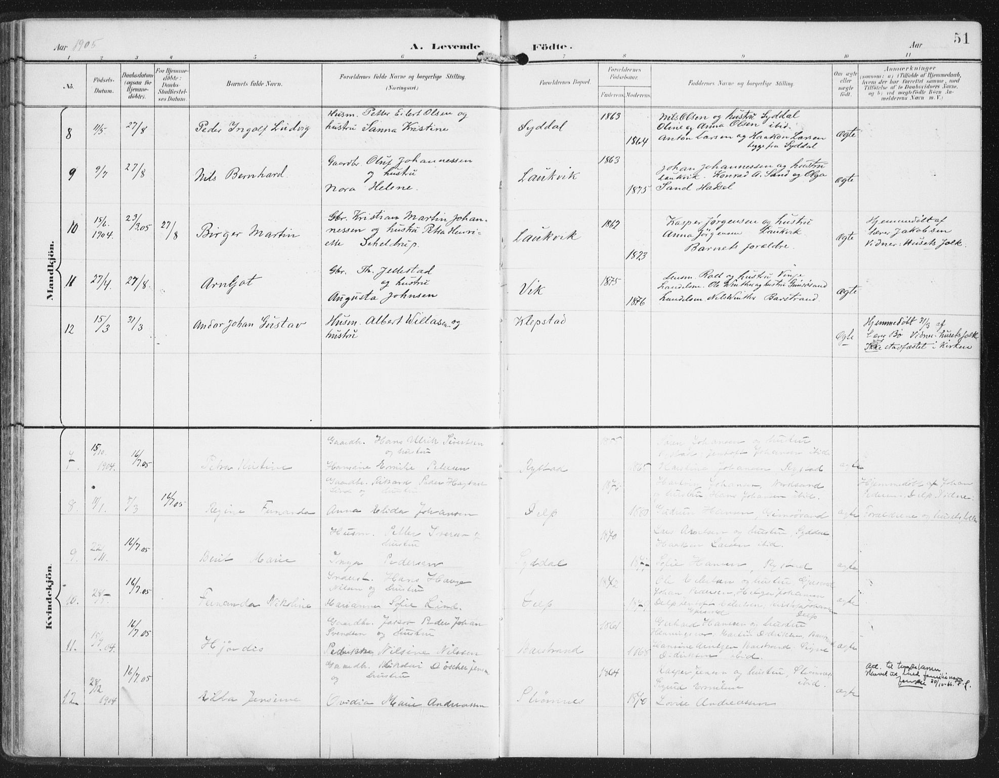 Ministerialprotokoller, klokkerbøker og fødselsregistre - Nordland, AV/SAT-A-1459/876/L1098: Parish register (official) no. 876A04, 1896-1915, p. 51