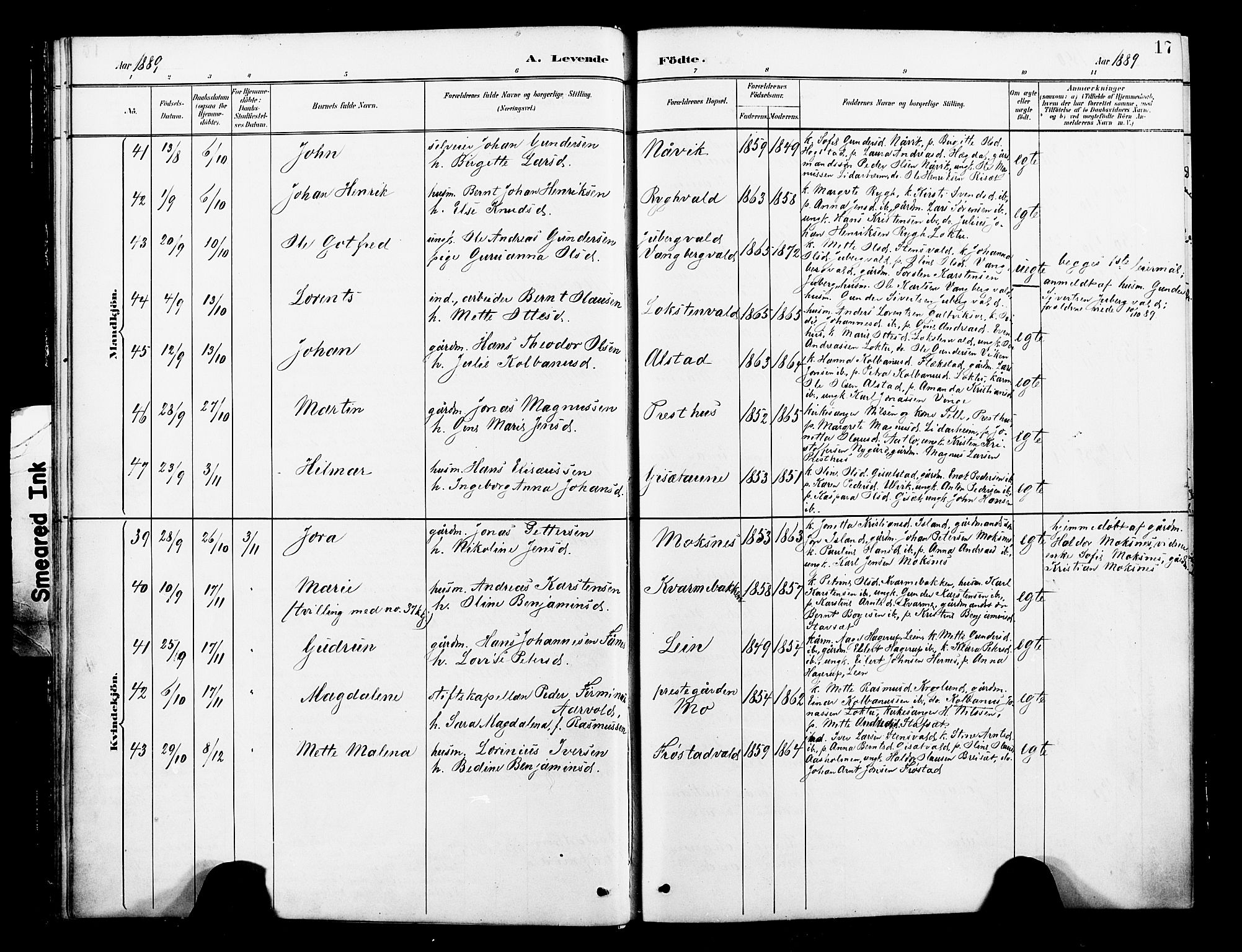 Ministerialprotokoller, klokkerbøker og fødselsregistre - Nord-Trøndelag, SAT/A-1458/713/L0121: Parish register (official) no. 713A10, 1888-1898, p. 17