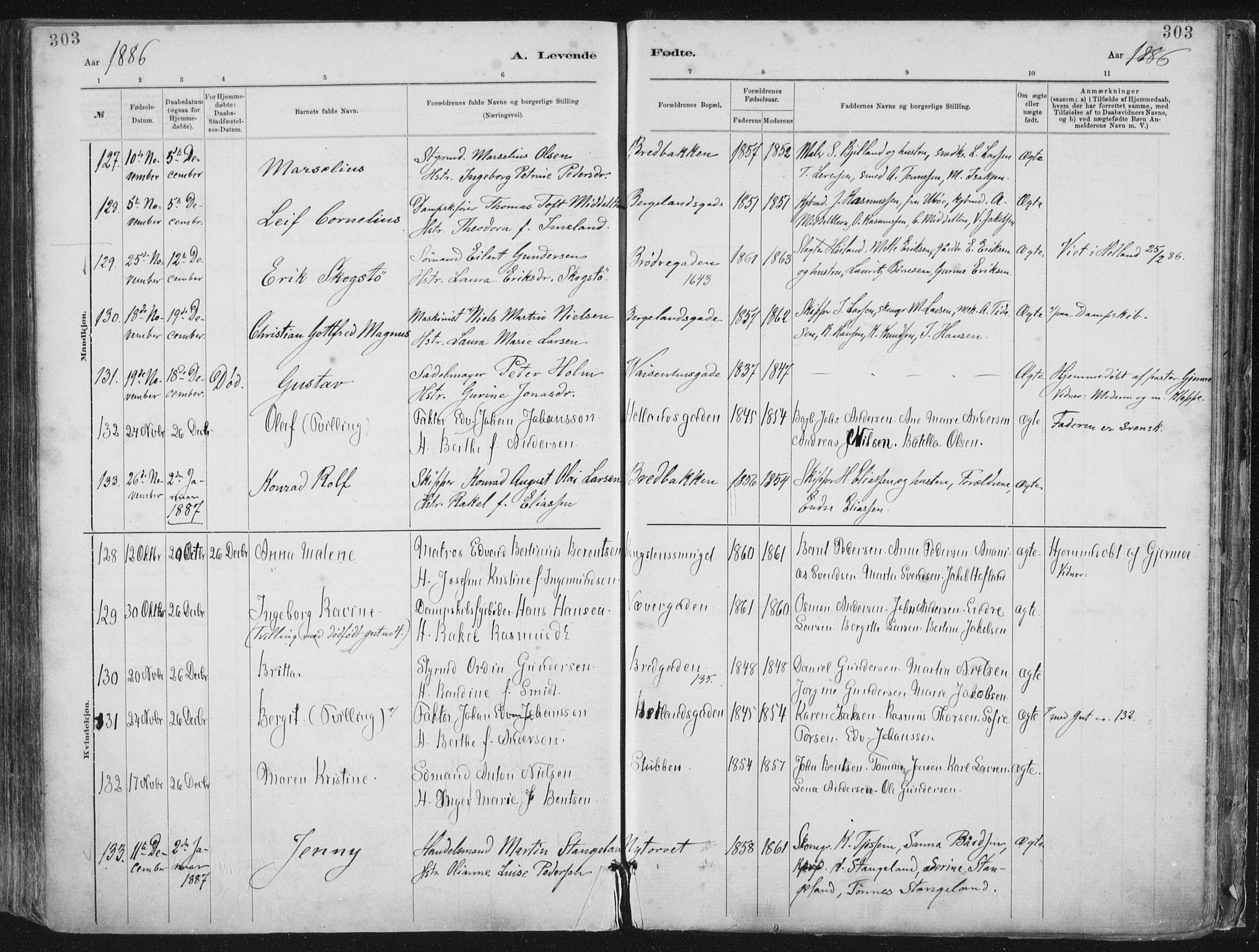 St. Petri sokneprestkontor, AV/SAST-A-101813/001/30/30BA/L0015: Parish register (official) no. A 15, 1879-1888, p. 303