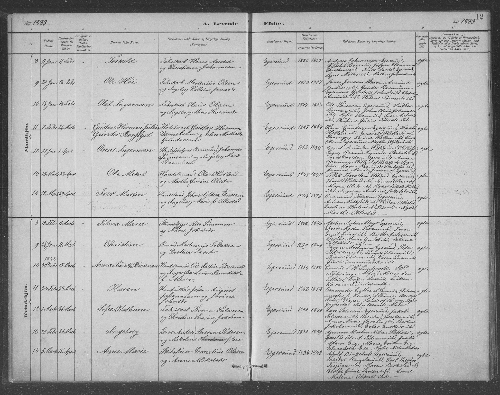 Eigersund sokneprestkontor, AV/SAST-A-101807/S09/L0008: Parish register (copy) no. B 8, 1882-1892, p. 12