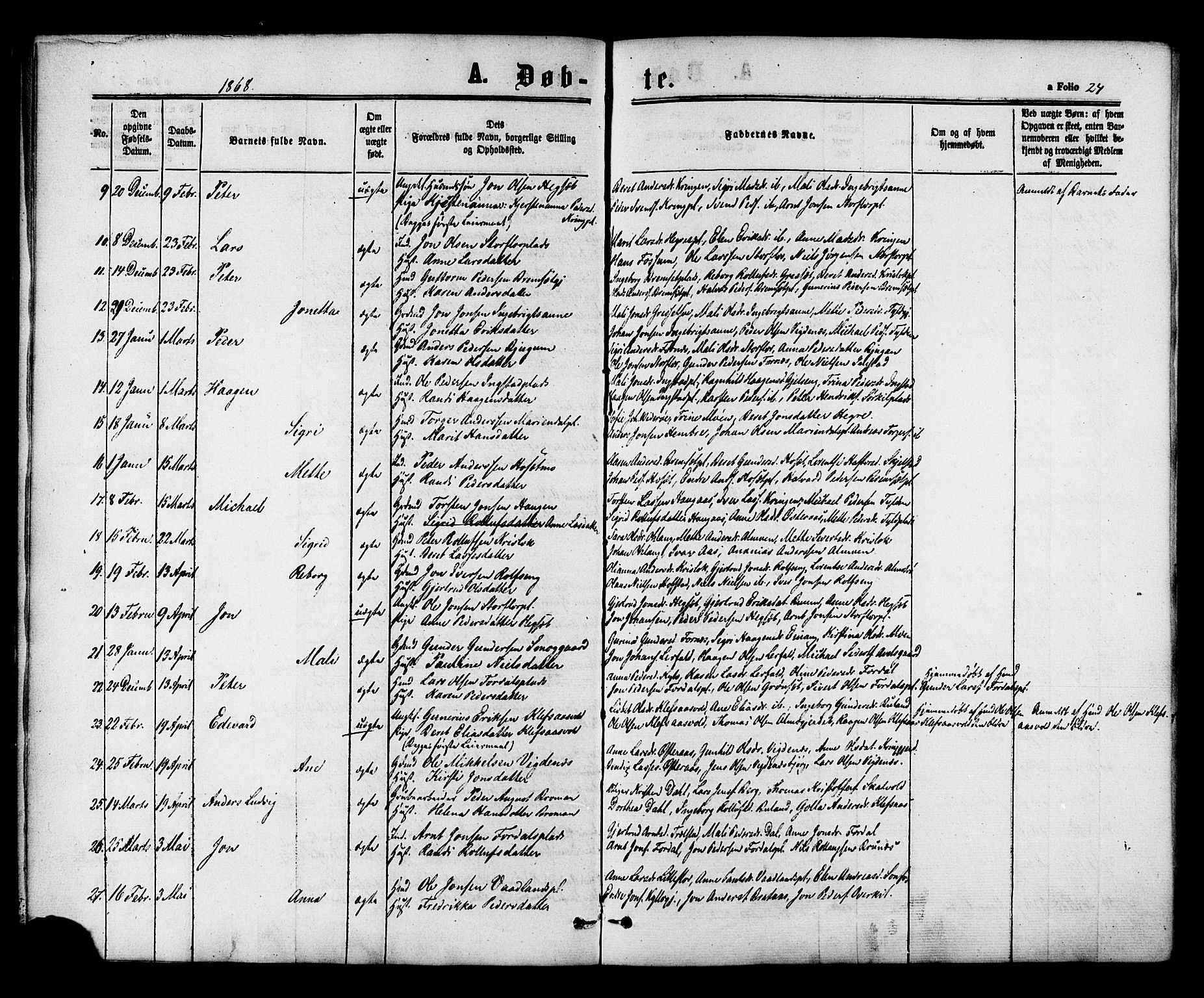 Ministerialprotokoller, klokkerbøker og fødselsregistre - Nord-Trøndelag, AV/SAT-A-1458/703/L0029: Parish register (official) no. 703A02, 1863-1879, p. 24