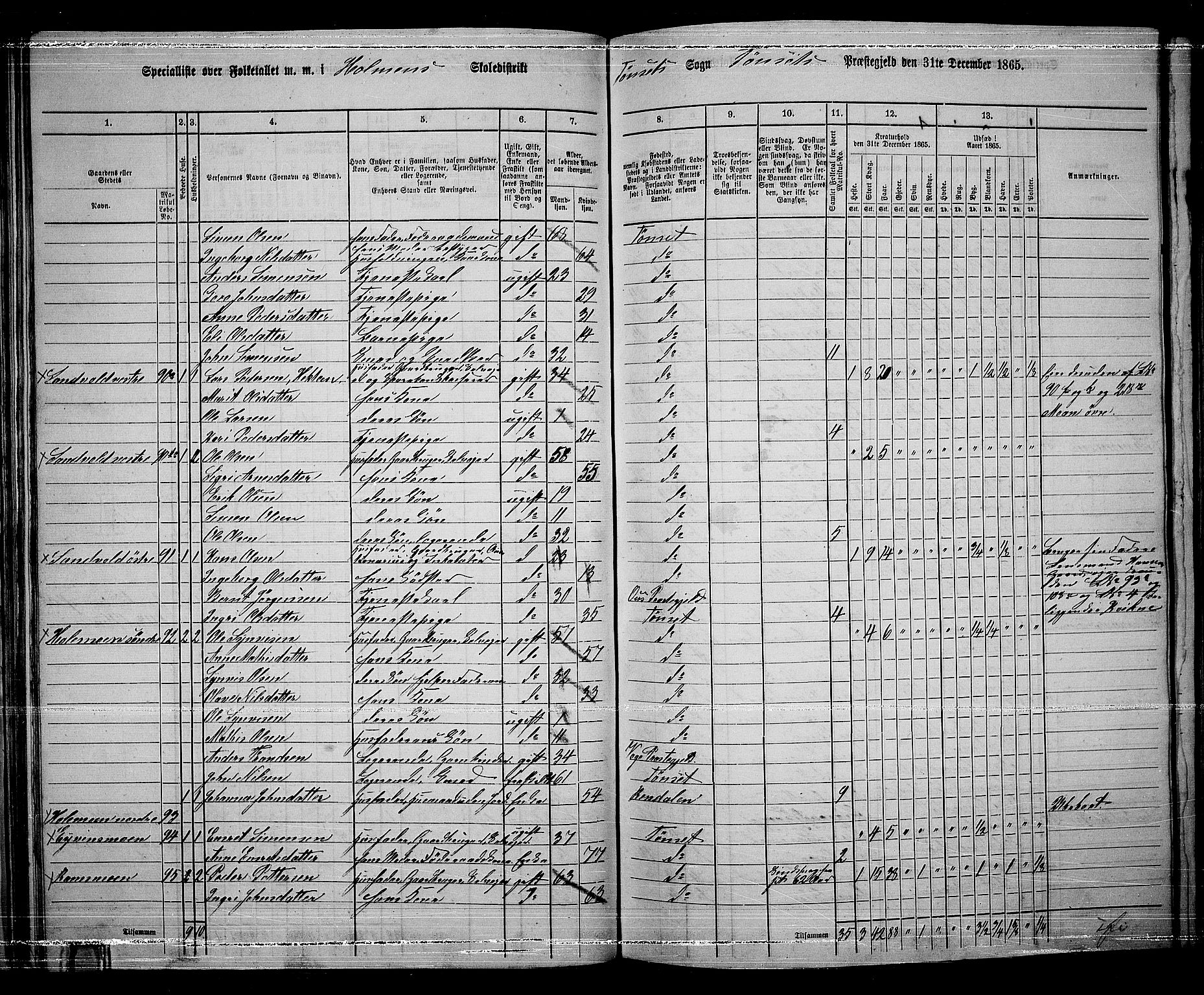 RA, 1865 census for Tynset, 1865, p. 50