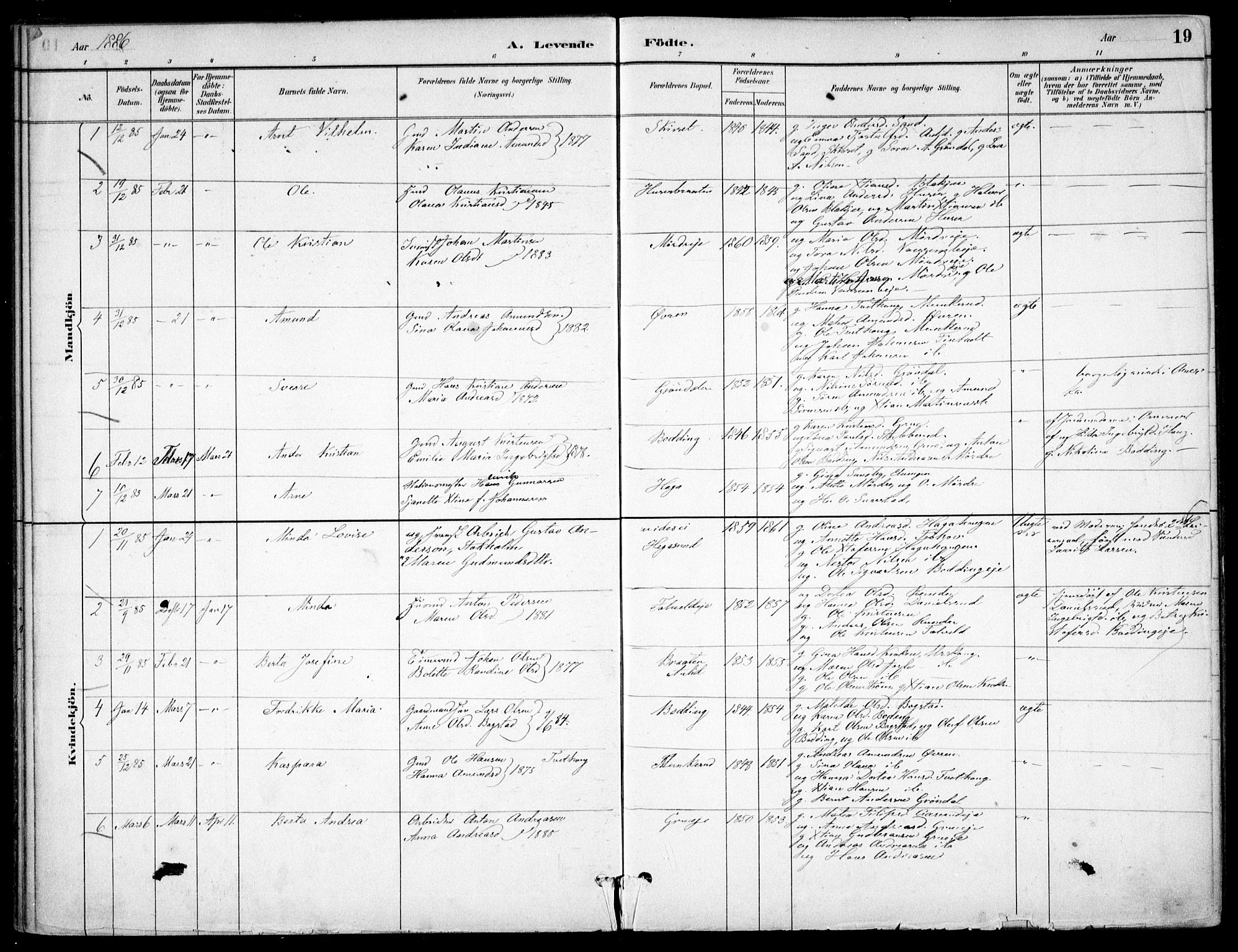 Nes prestekontor Kirkebøker, SAO/A-10410/F/Fc/L0002: Parish register (official) no. IIi 2, 1882-1916, p. 19