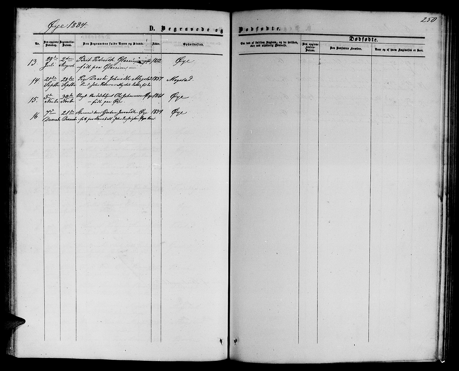 Ministerialprotokoller, klokkerbøker og fødselsregistre - Møre og Romsdal, SAT/A-1454/595/L1051: Parish register (copy) no. 595C03, 1866-1891, p. 250