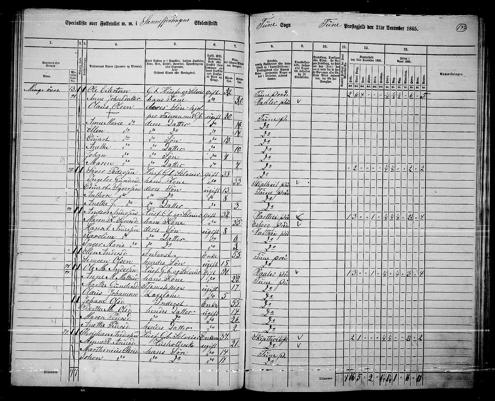 RA, 1865 census for Tune, 1865, p. 251