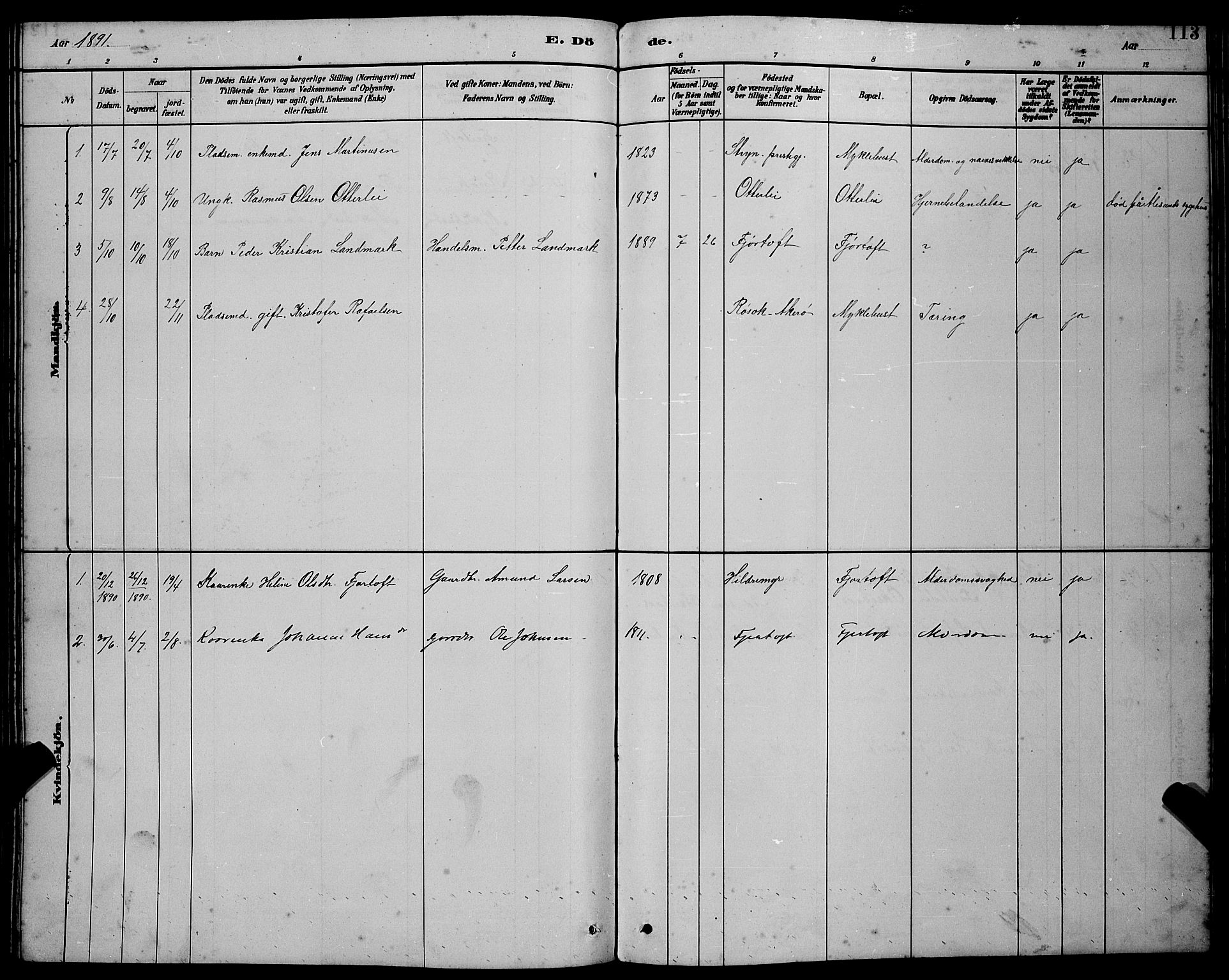 Ministerialprotokoller, klokkerbøker og fødselsregistre - Møre og Romsdal, SAT/A-1454/538/L0523: Parish register (copy) no. 538C01, 1881-1900, p. 113