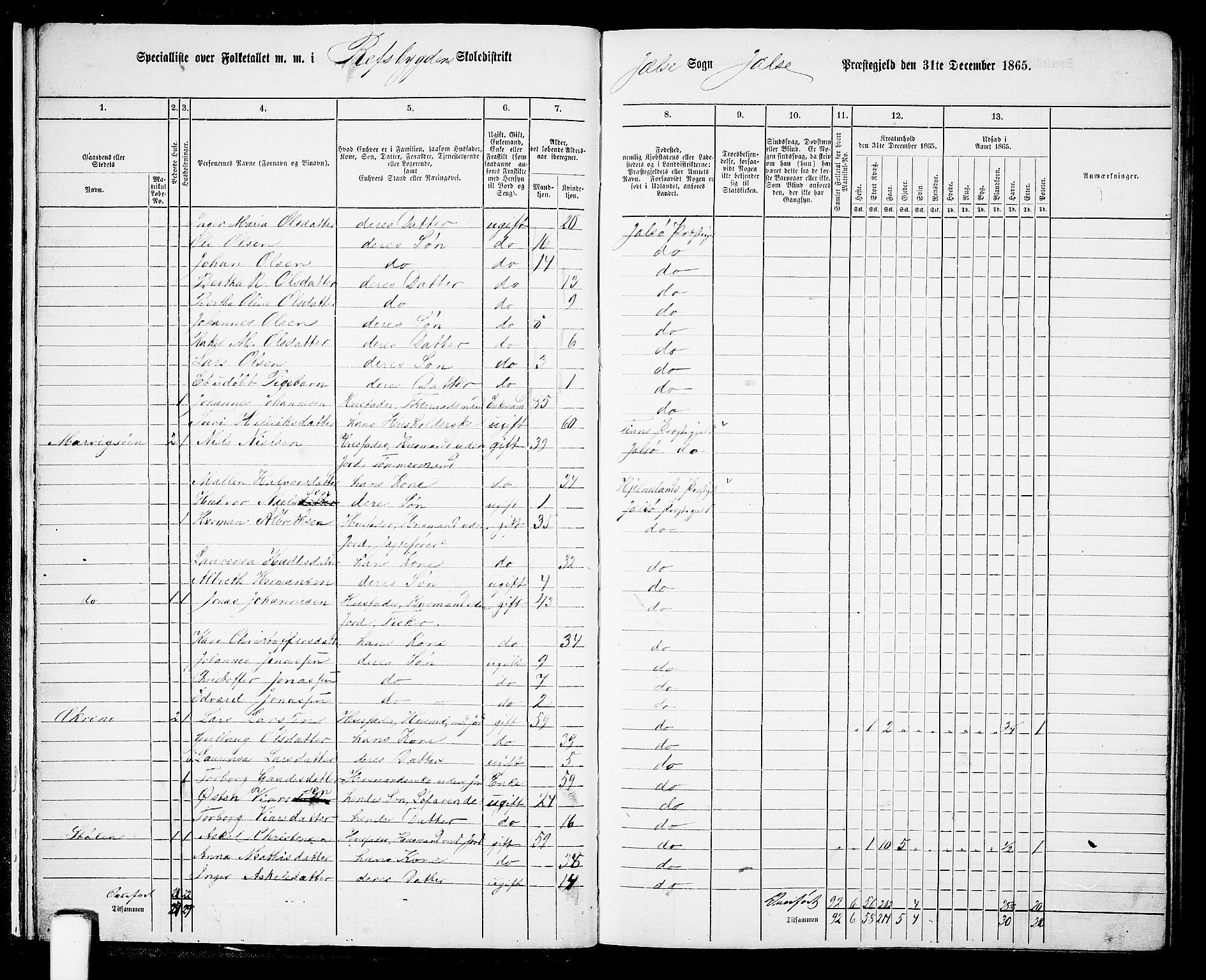 RA, 1865 census for Jelsa, 1865, p. 13