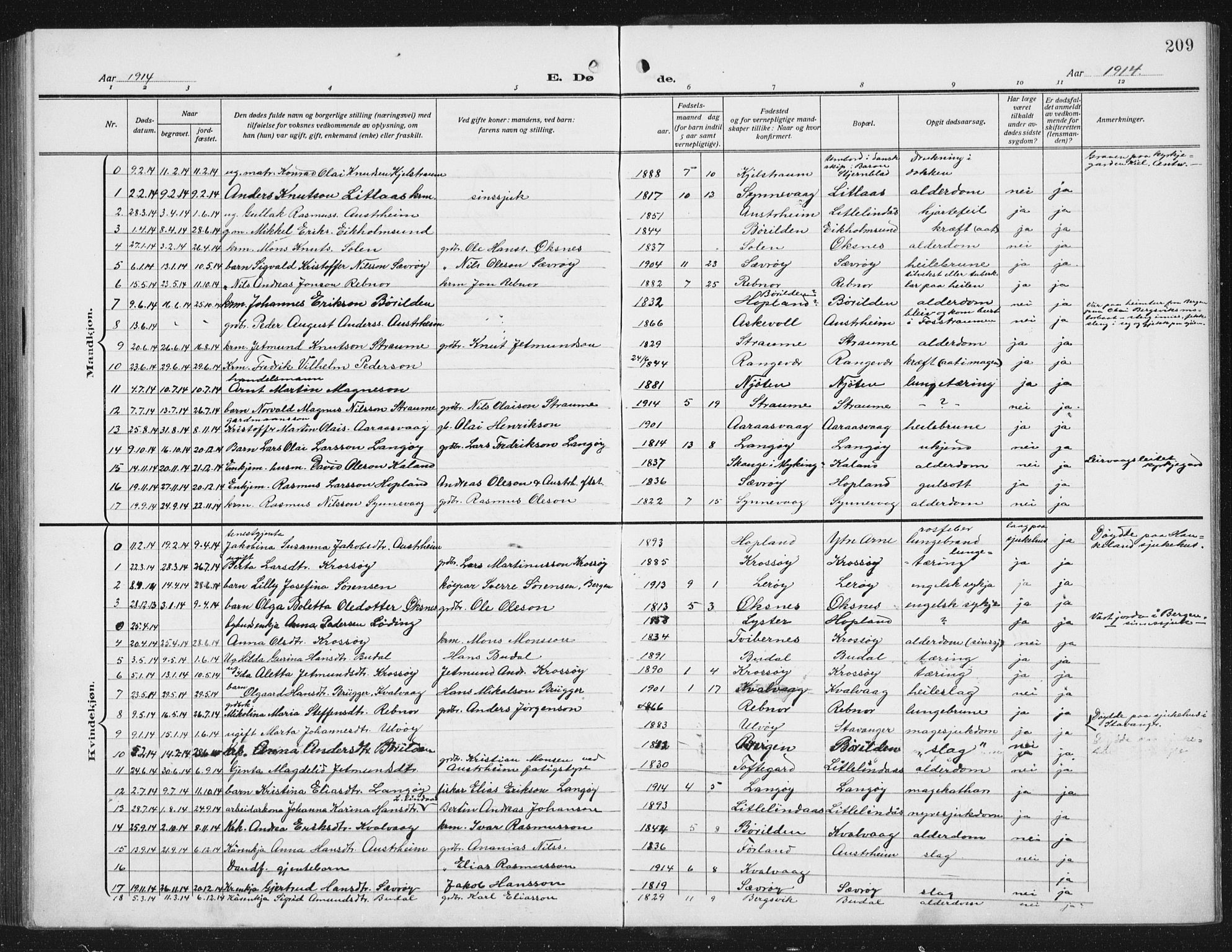 Lindås Sokneprestembete, AV/SAB-A-76701/H/Hab/Habc/L0005: Parish register (copy) no. C 5, 1910-1927, p. 209