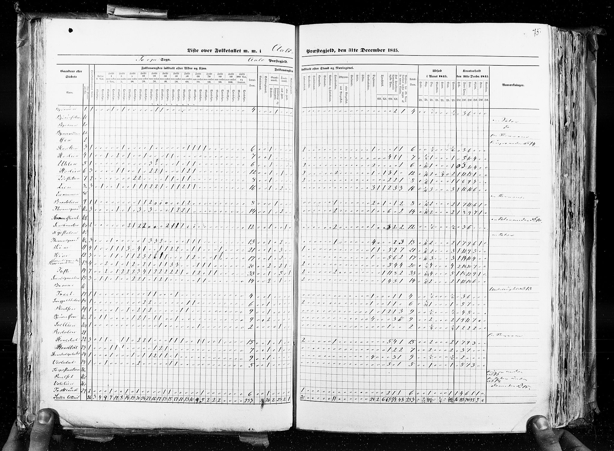 RA, Census 1845, vol. 4: Buskerud amt og Jarlsberg og Larvik amt, 1845, p. 75