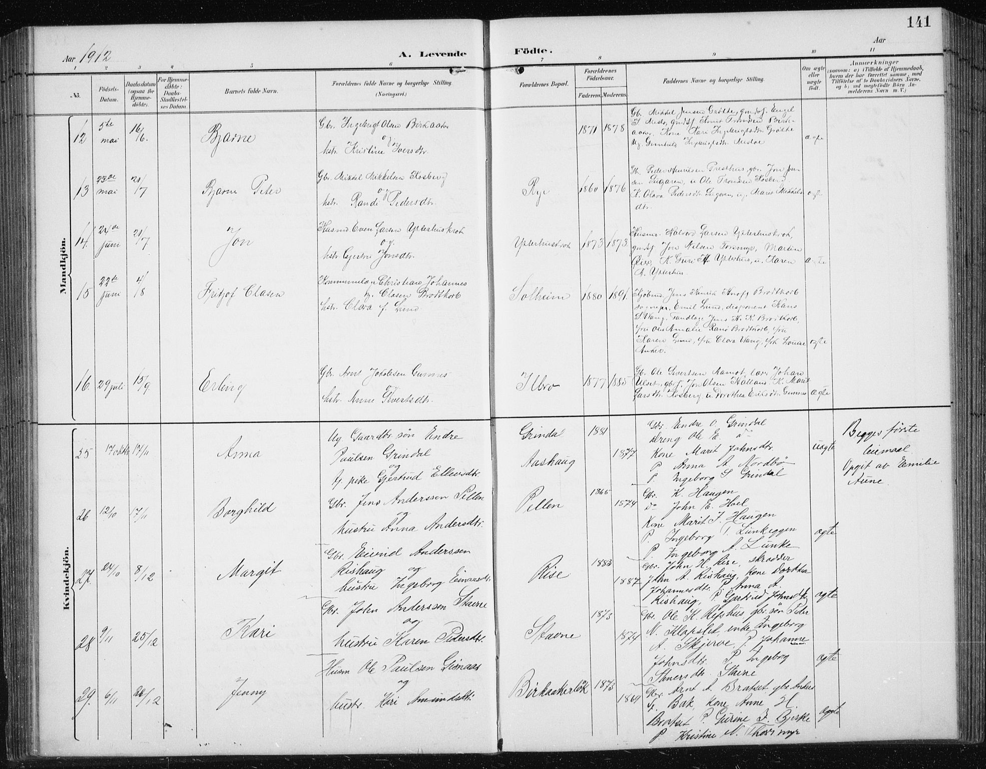 Ministerialprotokoller, klokkerbøker og fødselsregistre - Sør-Trøndelag, AV/SAT-A-1456/674/L0876: Parish register (copy) no. 674C03, 1892-1912, p. 141