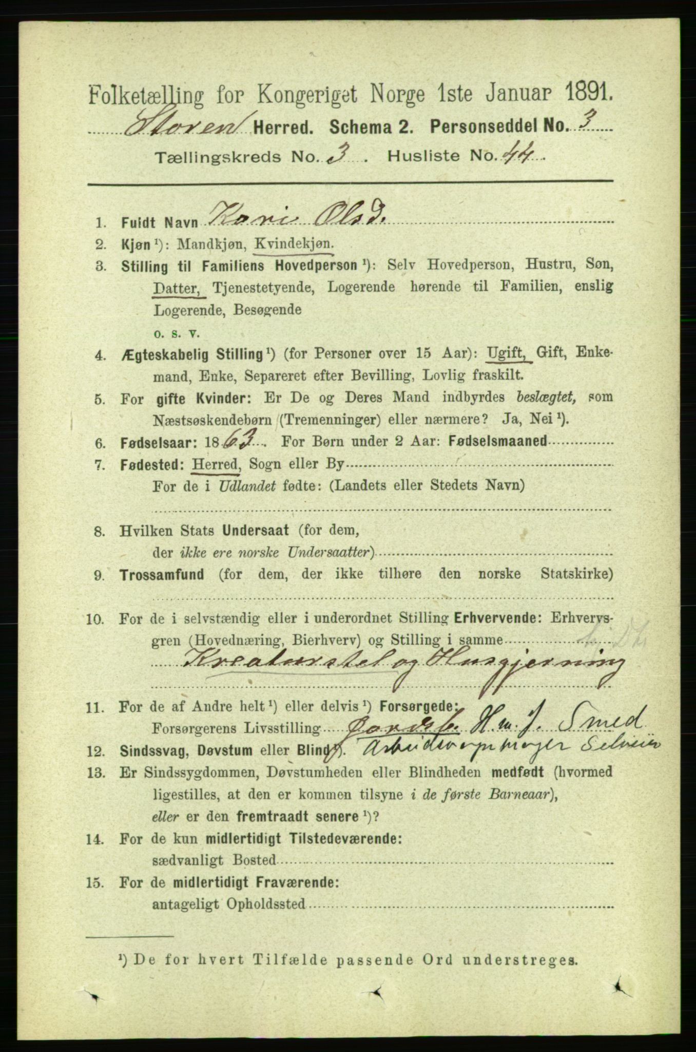 RA, 1891 census for 1648 Støren, 1891, p. 1055