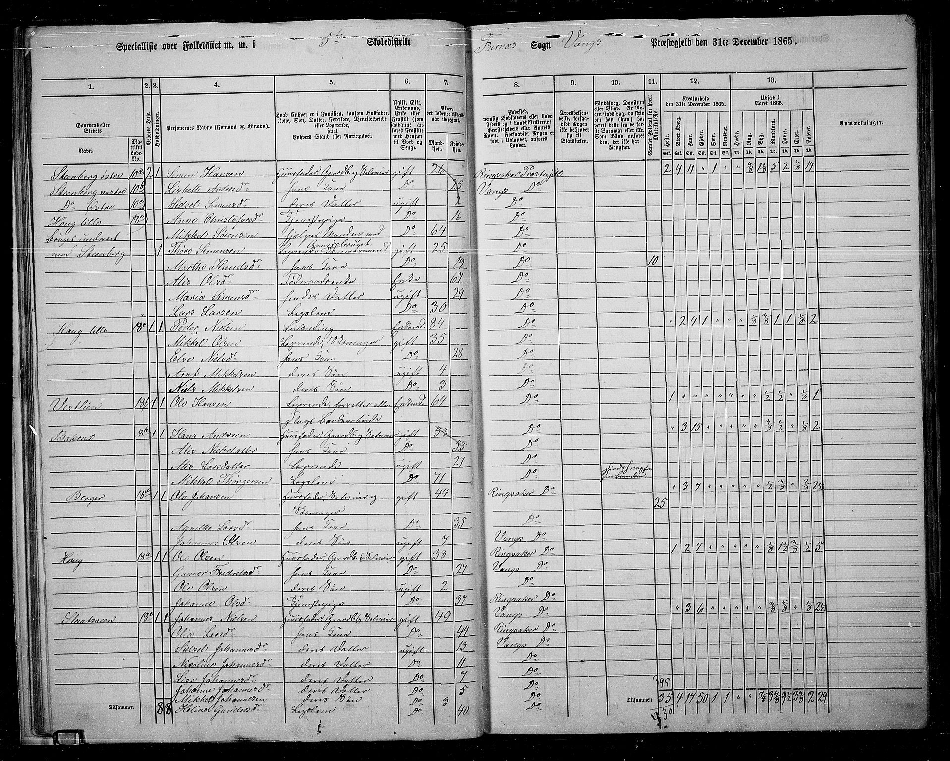 RA, 1865 census for Vang/Vang og Furnes, 1865, p. 29