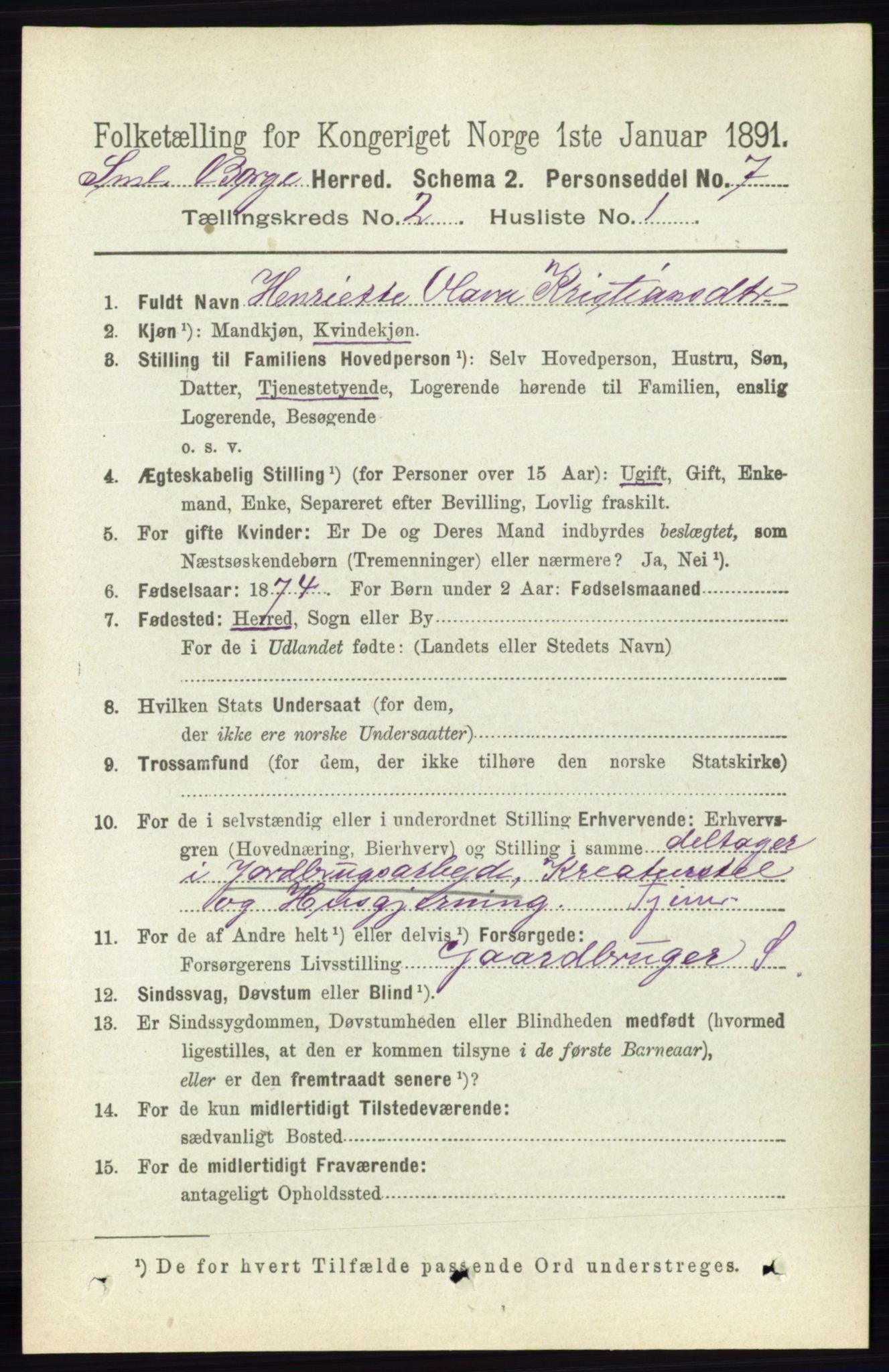 RA, 1891 census for 0113 Borge, 1891, p. 832