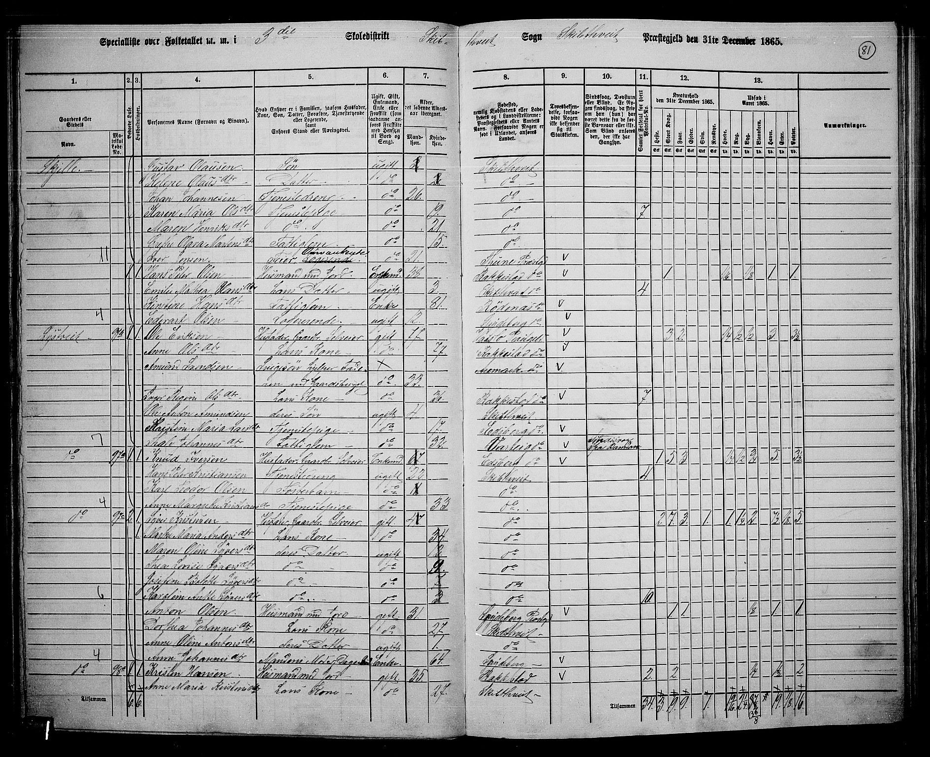 RA, 1865 census for Skiptvet, 1865, p. 72