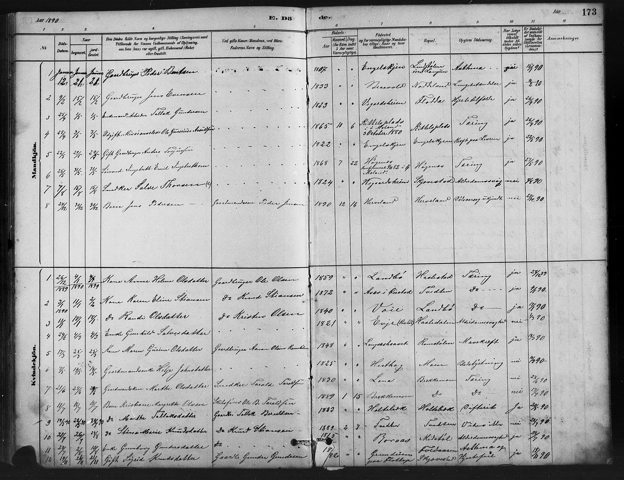 Austre Moland sokneprestkontor, AV/SAK-1111-0001/F/Fb/Fba/L0003: Parish register (copy) no. B 3, 1879-1914, p. 173