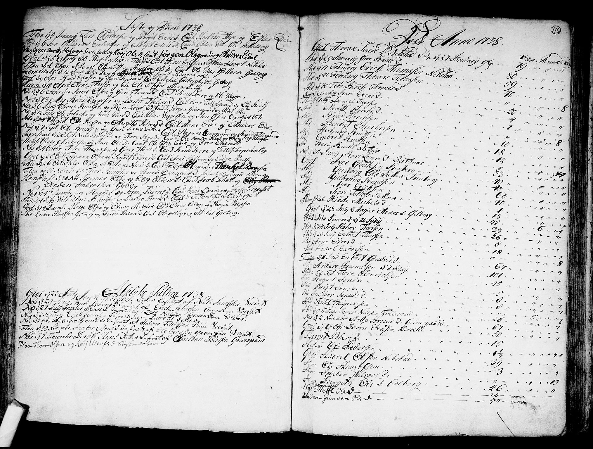 Nes kirkebøker, SAKO/A-236/F/Fa/L0002: Parish register (official) no. 2, 1707-1759, p. 116