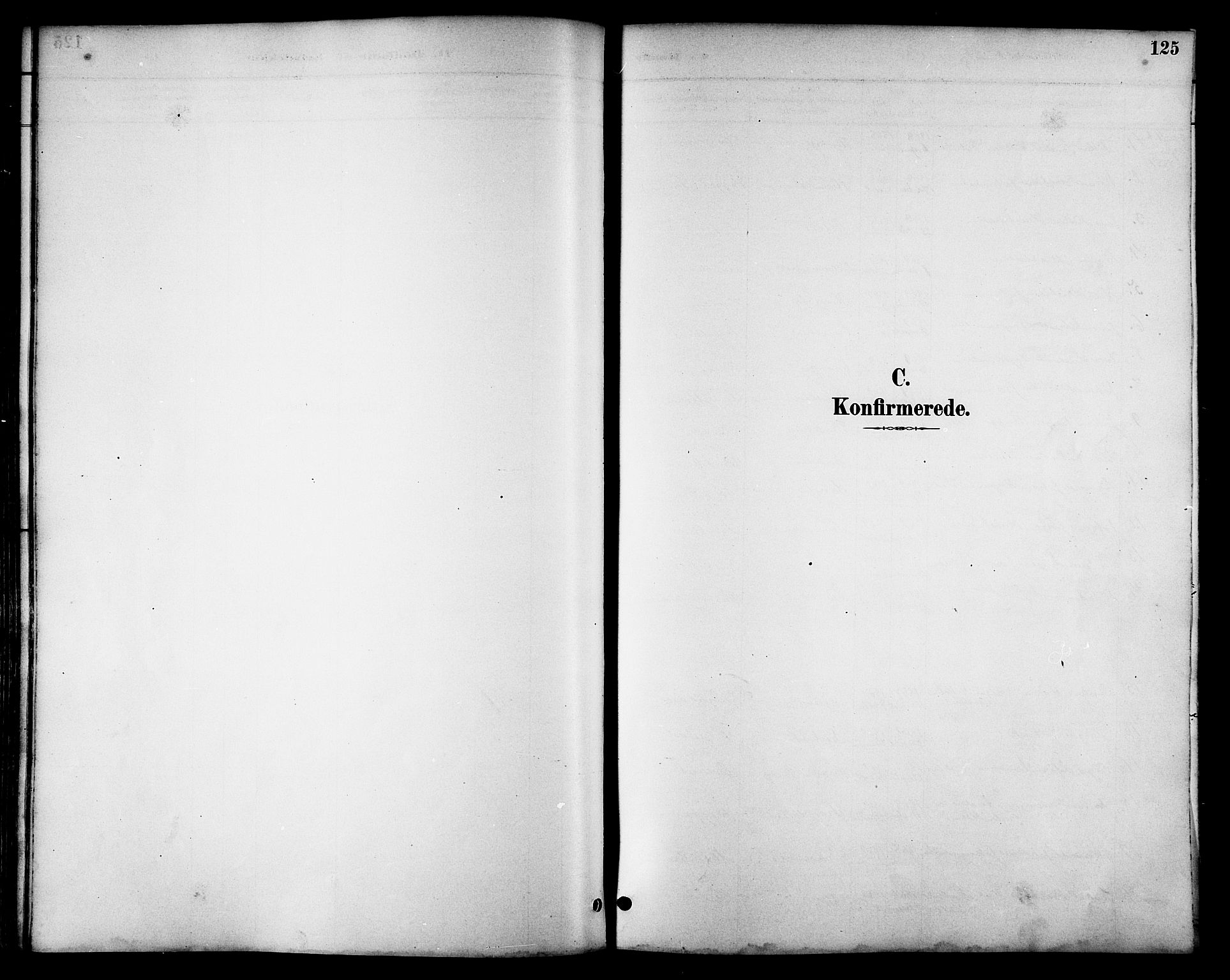 Ministerialprotokoller, klokkerbøker og fødselsregistre - Nordland, AV/SAT-A-1459/814/L0230: Parish register (copy) no. 814C03, 1884-1911, p. 125