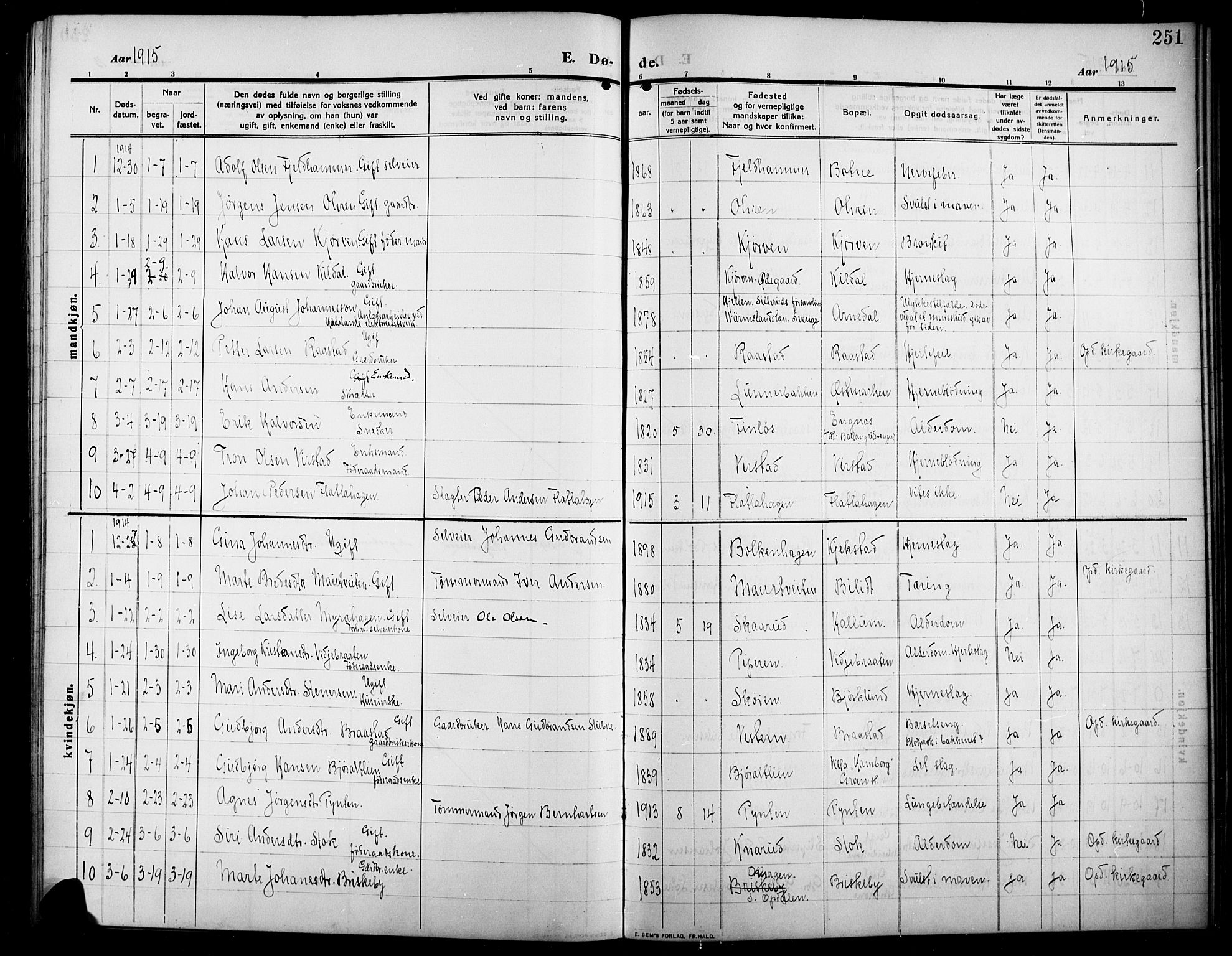 Lunner prestekontor, SAH/PREST-118/H/Ha/Hab/L0001: Parish register (copy) no. 1, 1909-1922, p. 251