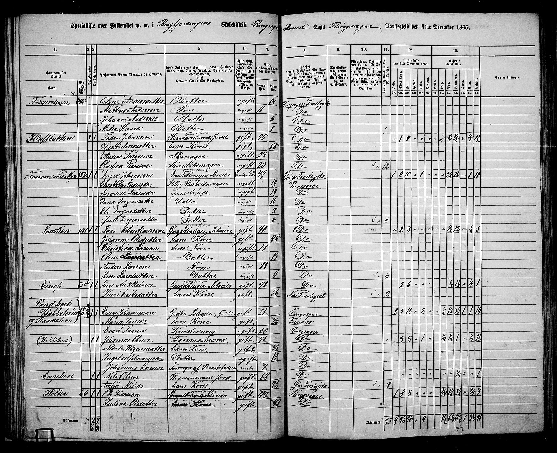 RA, 1865 census for Ringsaker, 1865, p. 77