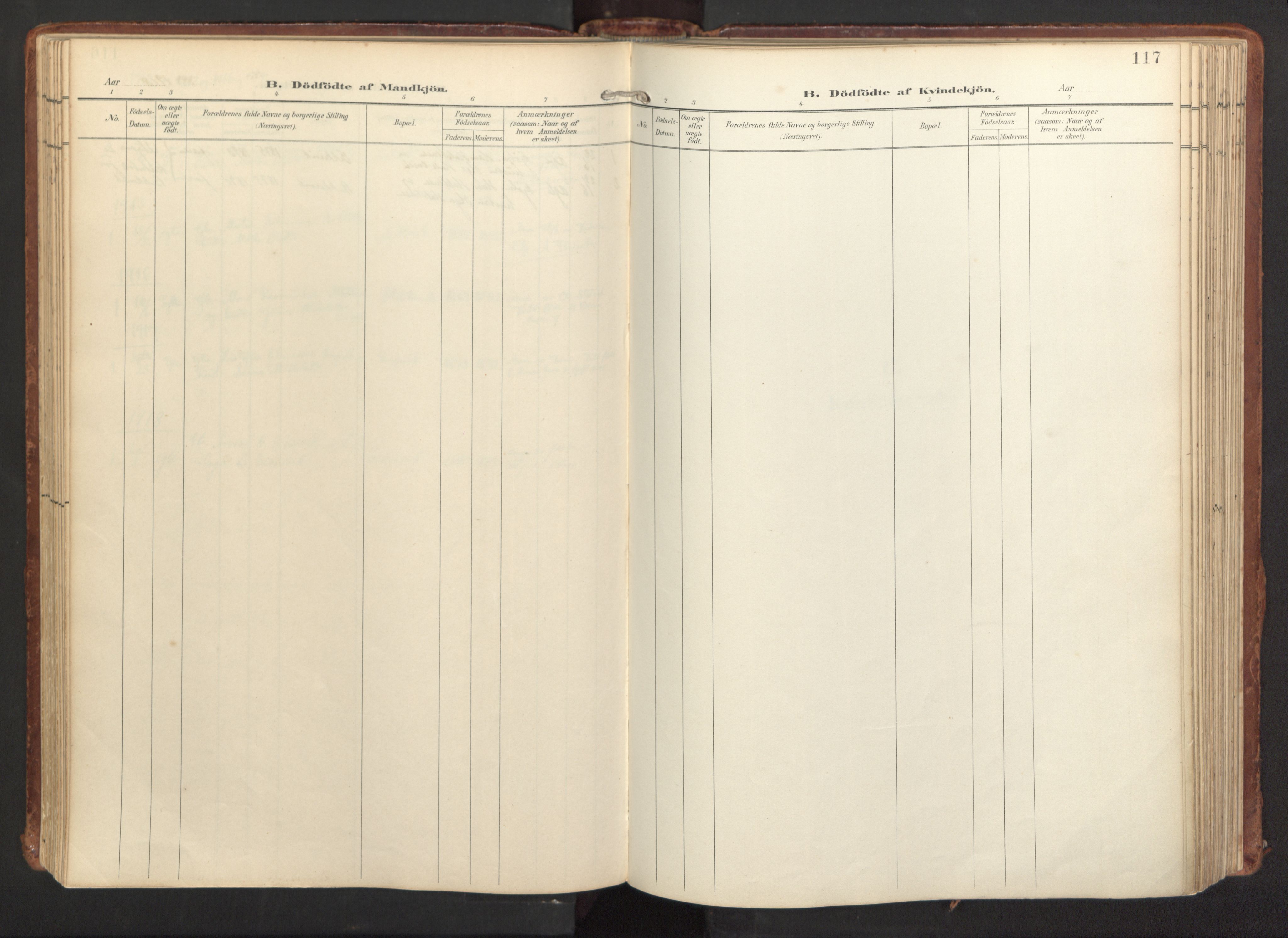 Fitjar sokneprestembete, AV/SAB-A-99926: Parish register (official) no. A 3, 1900-1918, p. 117