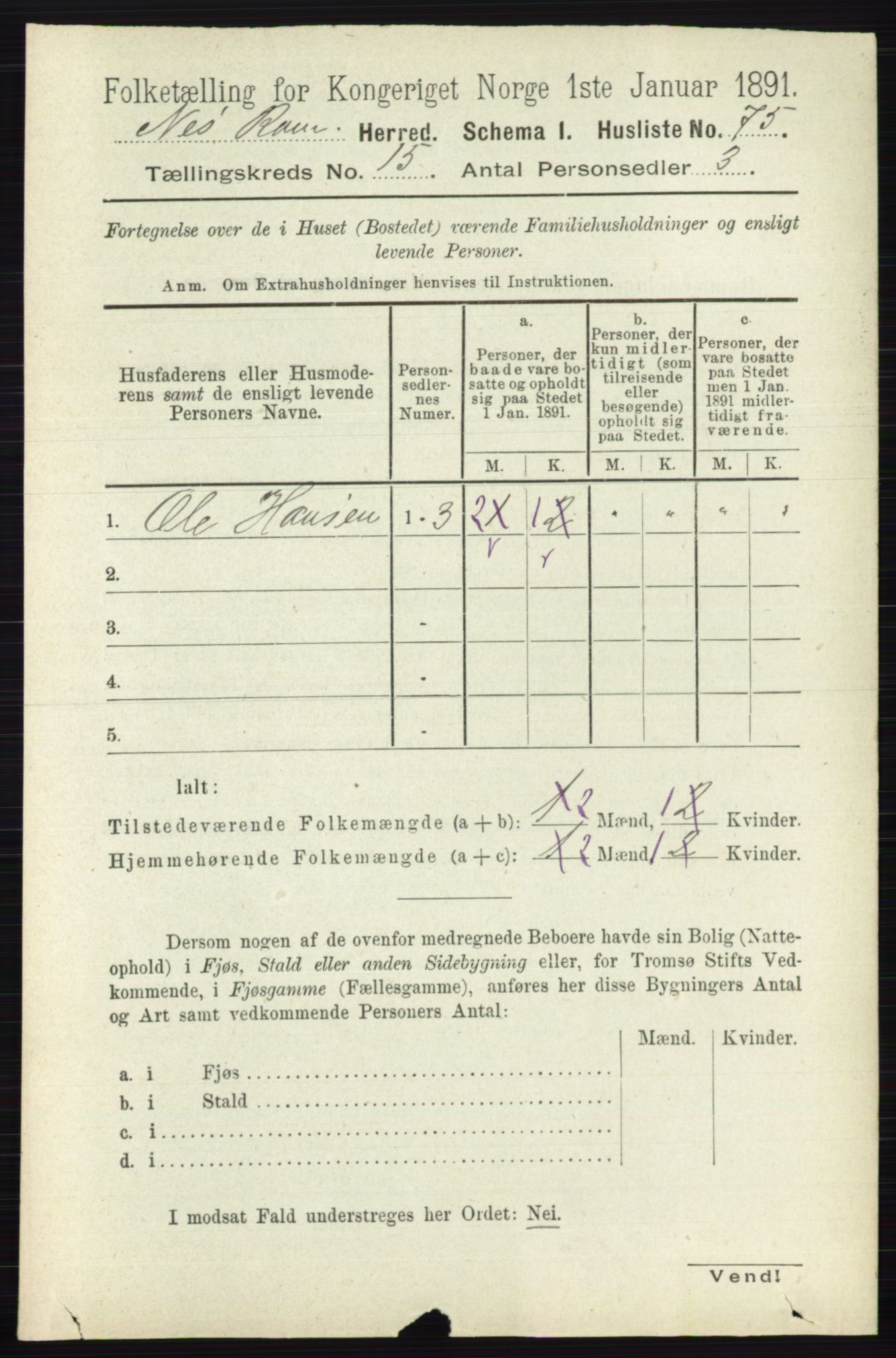 RA, 1891 census for 0236 Nes, 1891, p. 8996