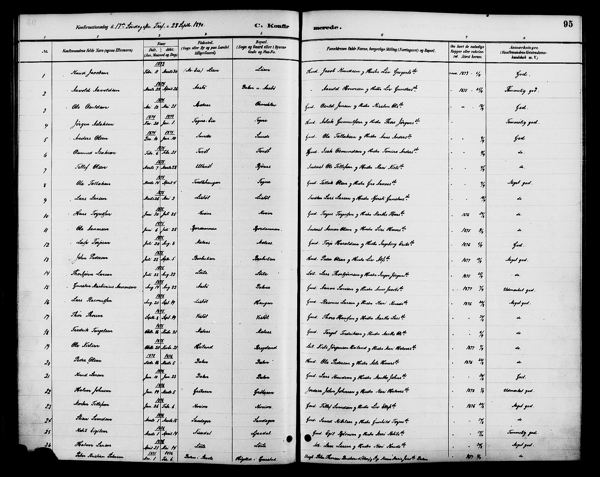 Gjerstad sokneprestkontor, AV/SAK-1111-0014/F/Fa/Faa/L0009: Parish register (official) no. A 9, 1885-1890, p. 95