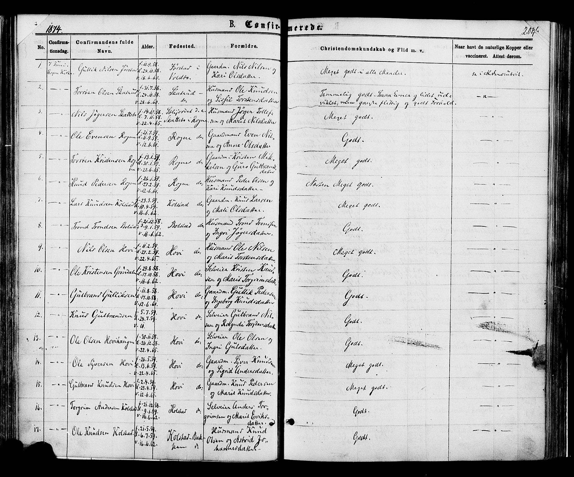 Øystre Slidre prestekontor, AV/SAH-PREST-138/H/Ha/Haa/L0002: Parish register (official) no. 2, 1874-1886, p. 204