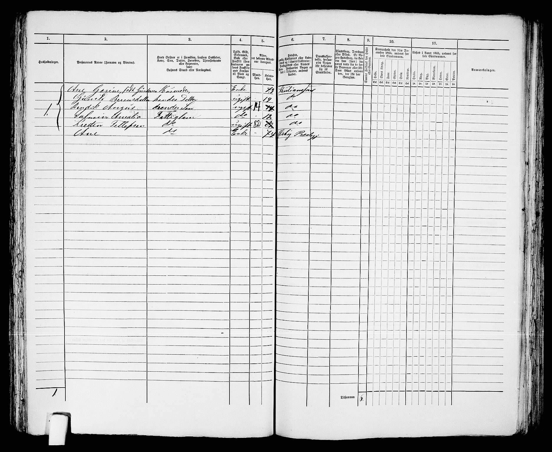 RA, 1865 census for Kristiansand, 1865, p. 1440