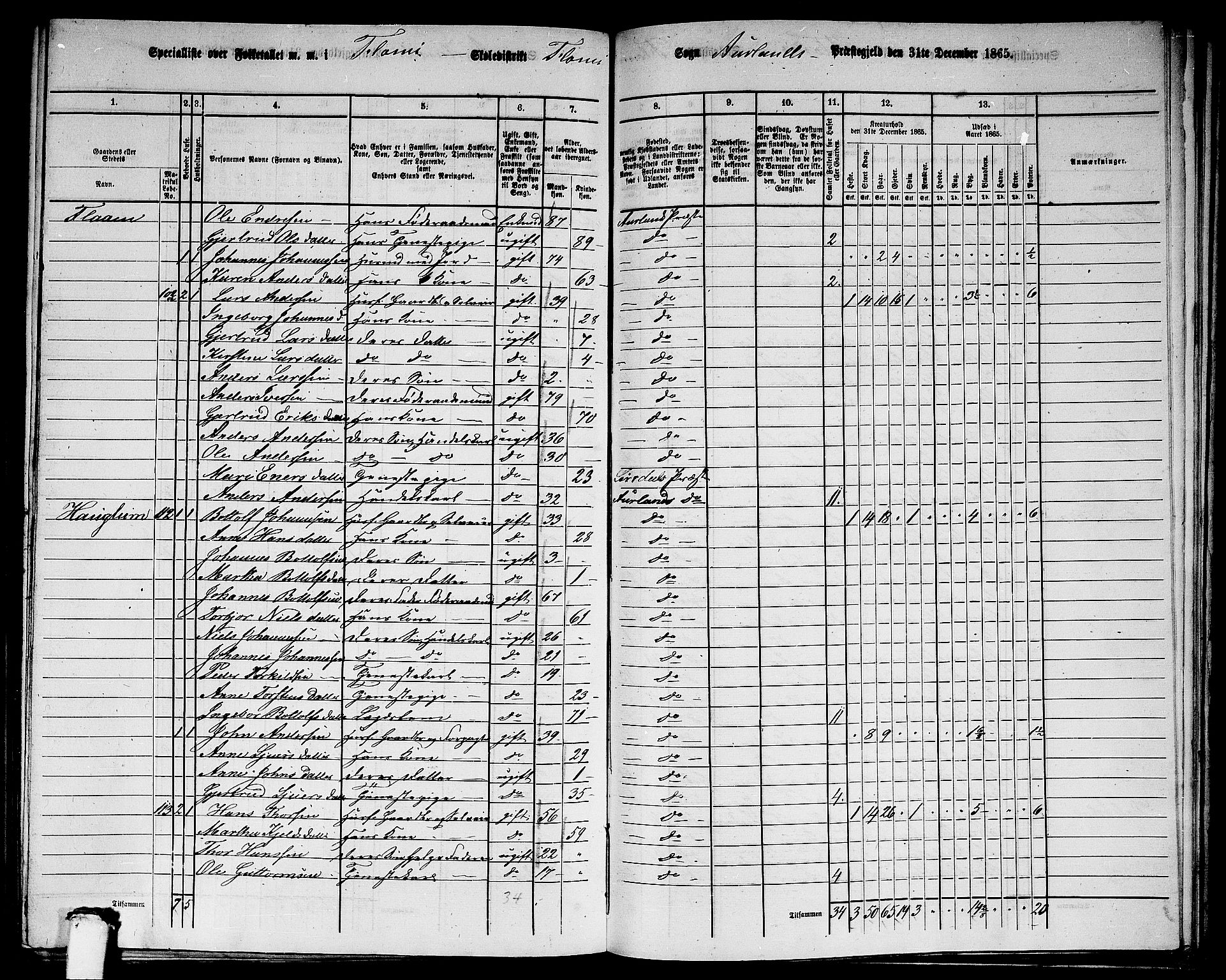 RA, 1865 census for Aurland, 1865, p. 76