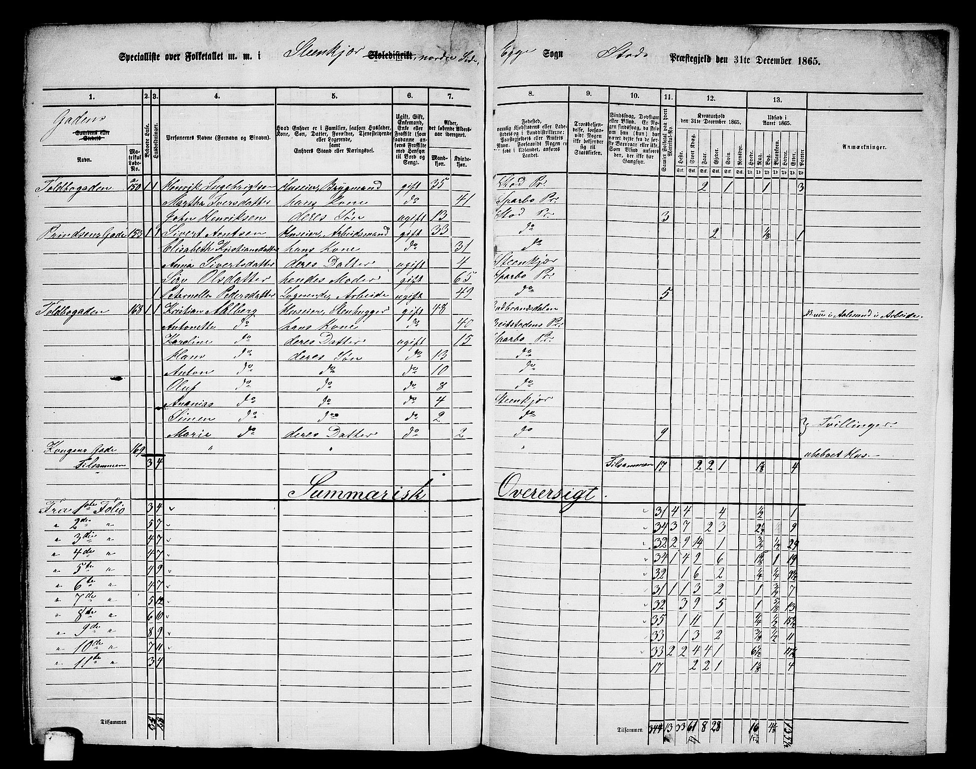 RA, 1865 census for Stod, 1865, p. 171