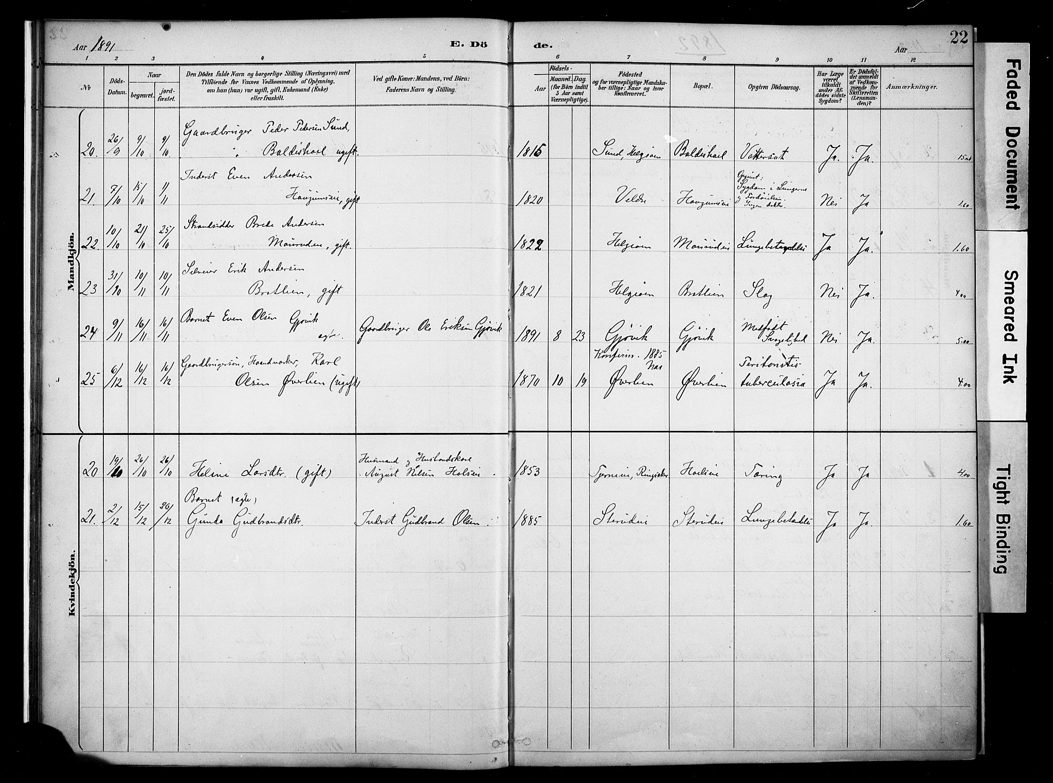 Nes prestekontor, Hedmark, AV/SAH-PREST-020/K/Ka/L0011: Parish register (official) no. 11, 1887-1905, p. 22