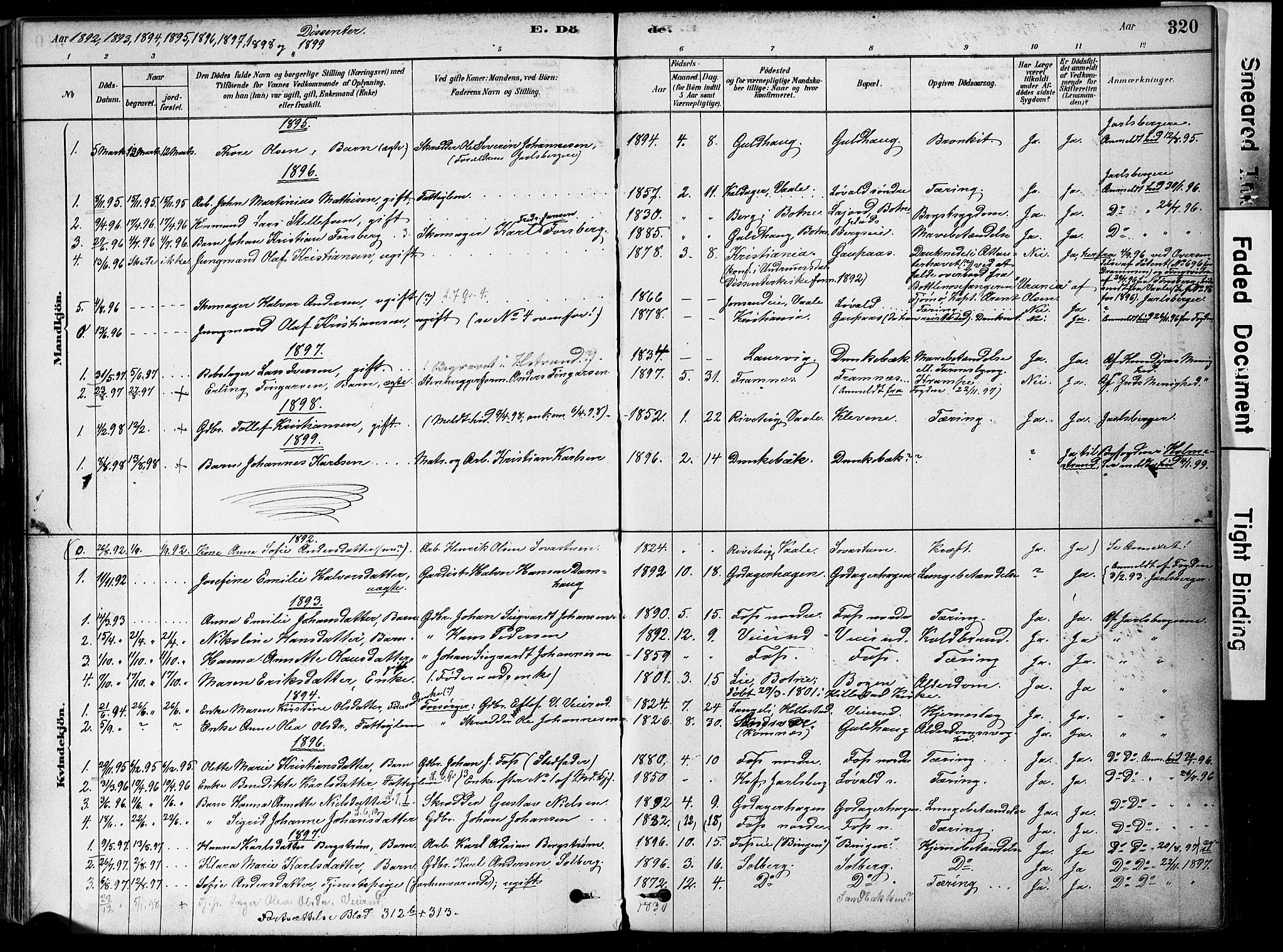 Botne kirkebøker, AV/SAKO-A-340/F/Fa/L0007: Parish register (official) no. I 7, 1878-1910, p. 320