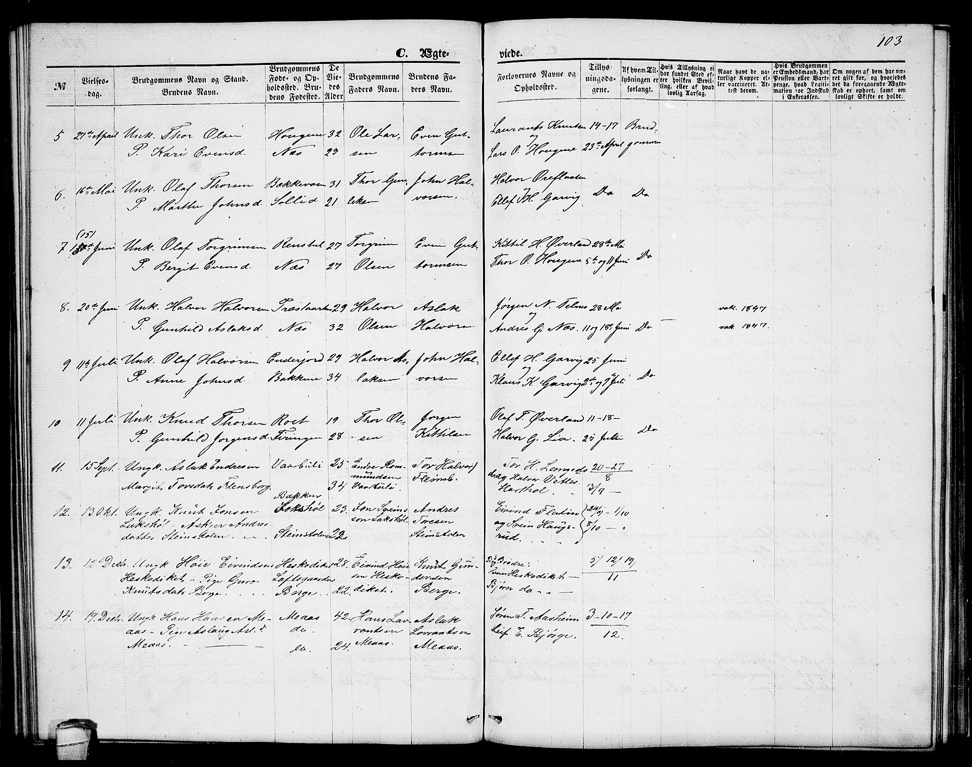 Seljord kirkebøker, AV/SAKO-A-20/G/Ga/L0004: Parish register (copy) no. I 4, 1873-1886, p. 103