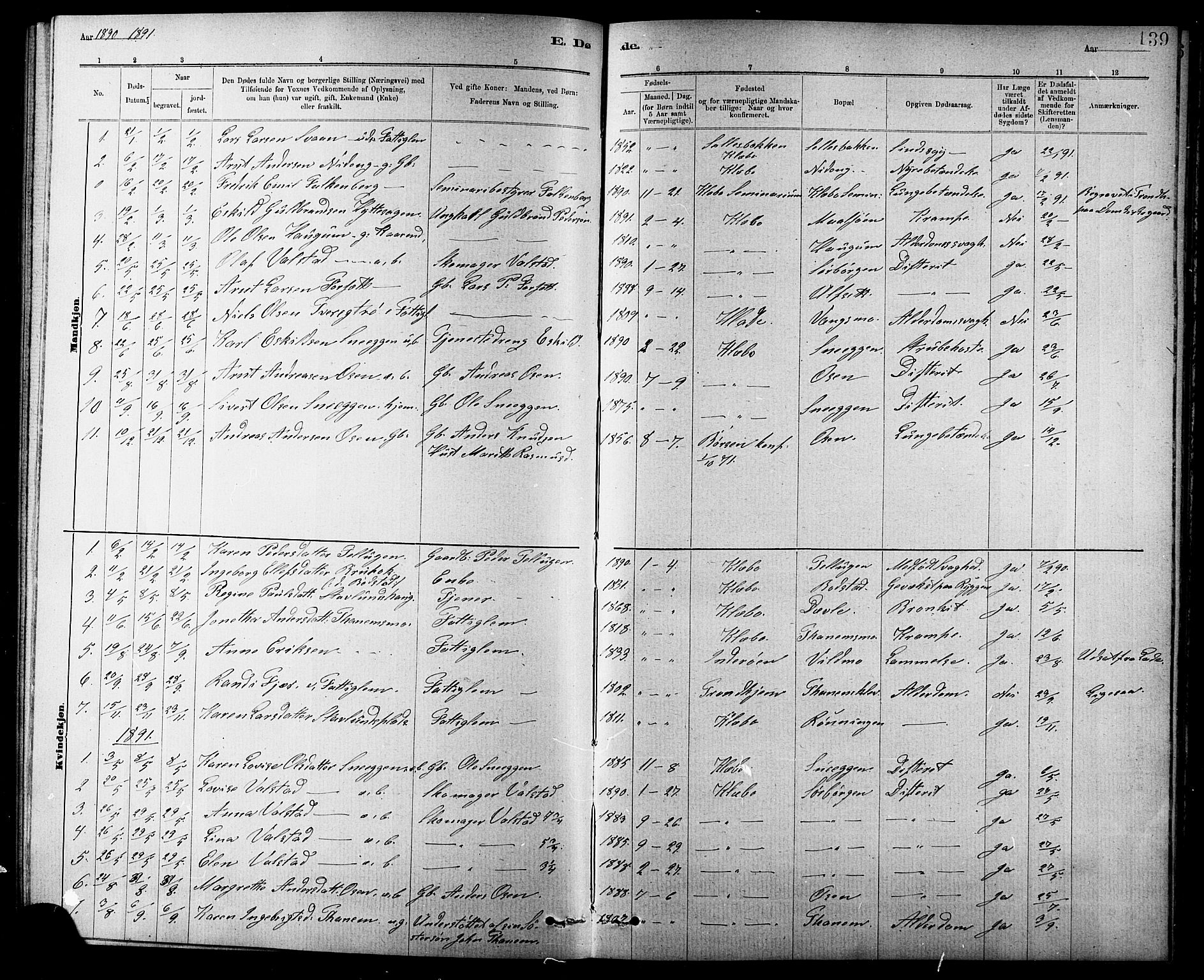 Ministerialprotokoller, klokkerbøker og fødselsregistre - Sør-Trøndelag, SAT/A-1456/618/L0452: Parish register (copy) no. 618C03, 1884-1906, p. 139