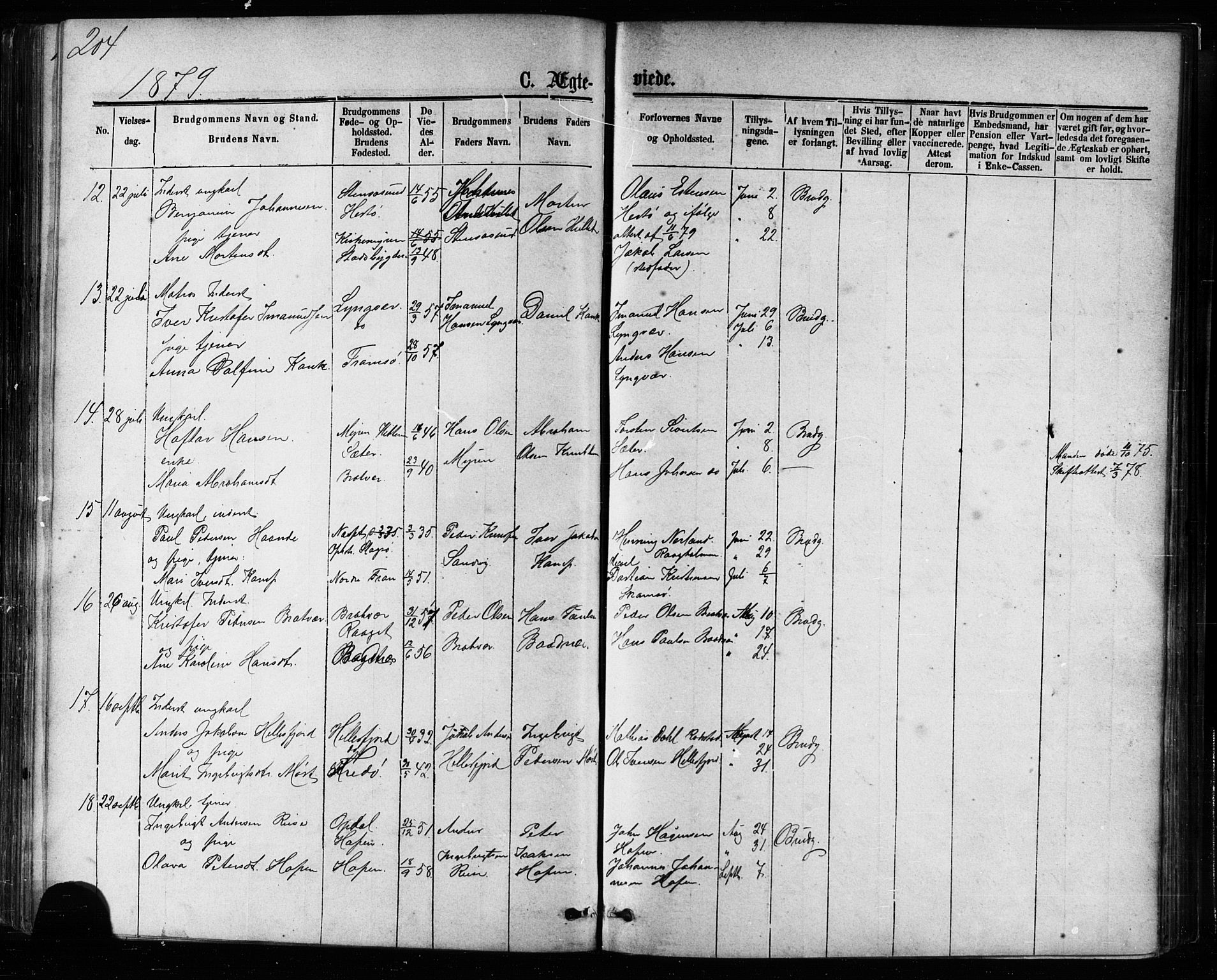 Ministerialprotokoller, klokkerbøker og fødselsregistre - Møre og Romsdal, AV/SAT-A-1454/581/L0938: Parish register (official) no. 581A06, 1873-1879, p. 204