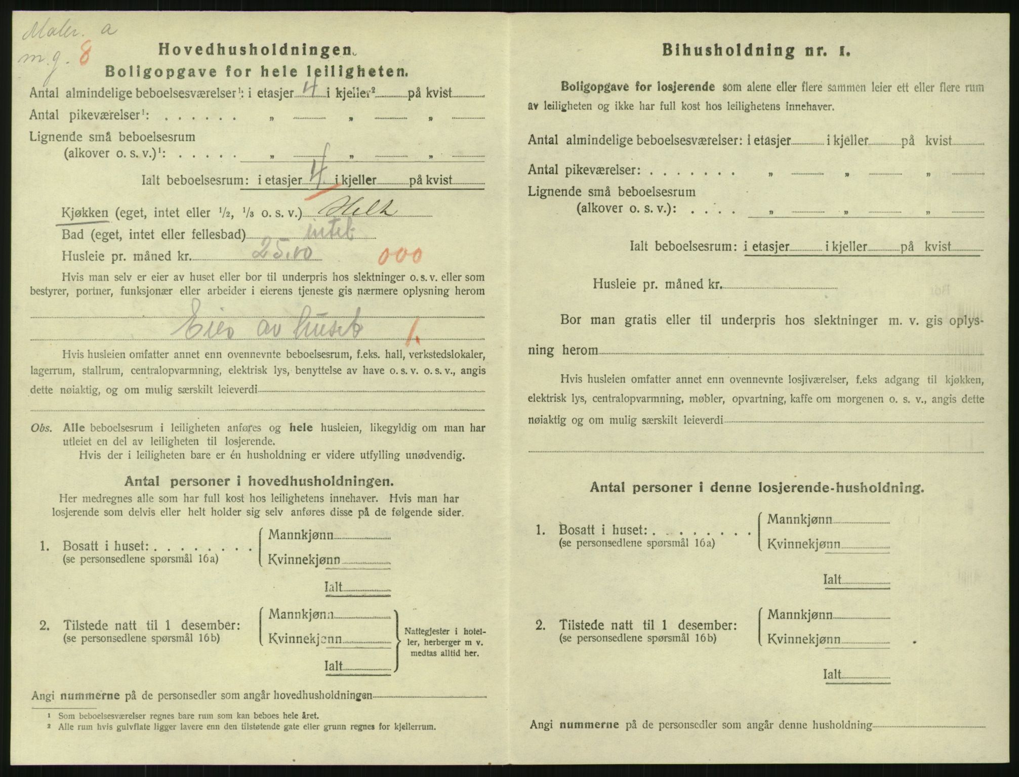 SAKO, 1920 census for Horten, 1920, p. 3594