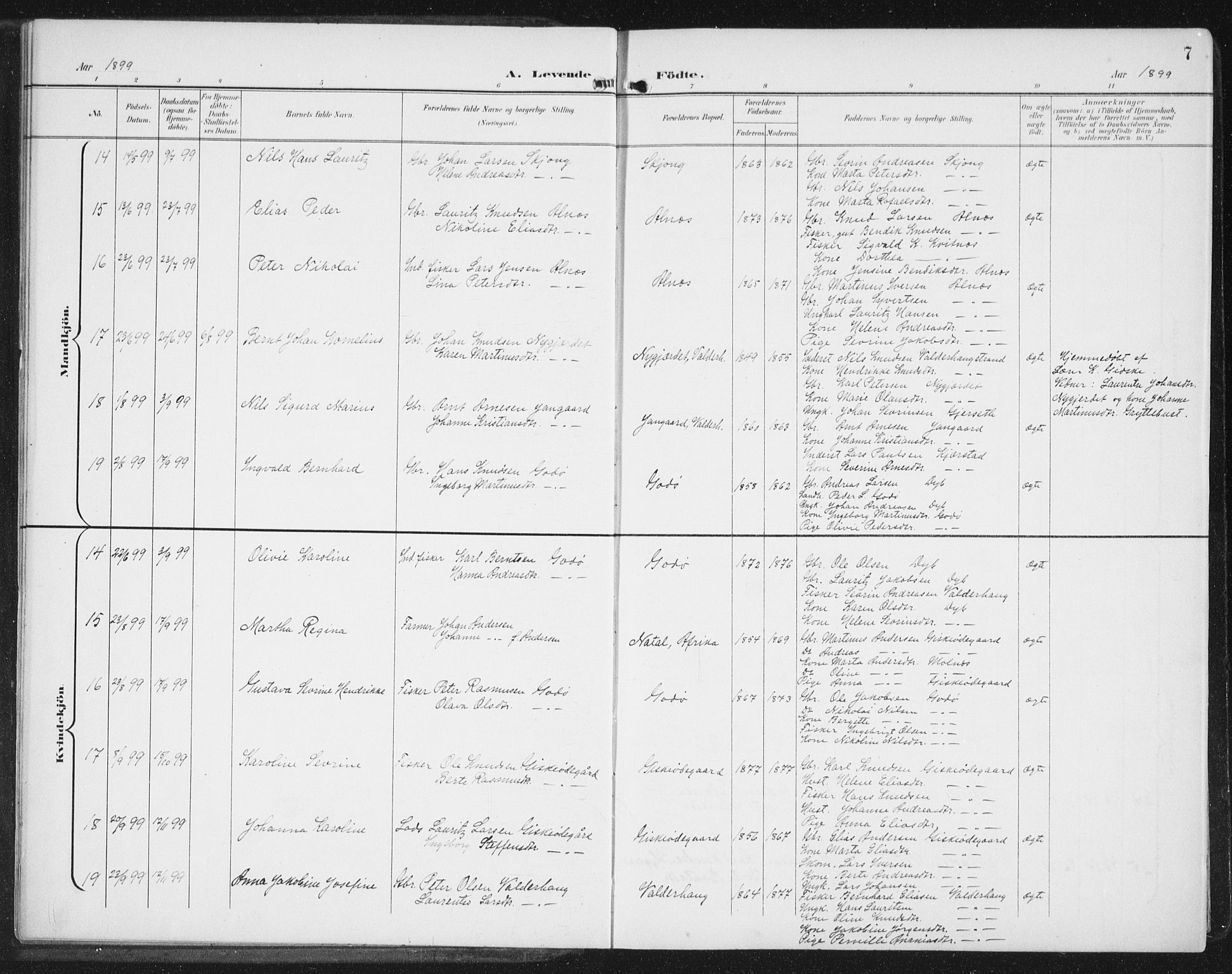 Ministerialprotokoller, klokkerbøker og fødselsregistre - Møre og Romsdal, AV/SAT-A-1454/534/L0489: Parish register (copy) no. 534C01, 1899-1941, p. 7