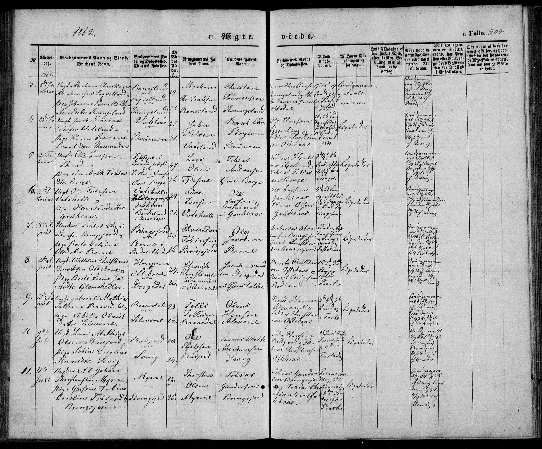 Lyngdal sokneprestkontor, AV/SAK-1111-0029/F/Fa/Fac/L0009: Parish register (official) no. A 9, 1852-1864, p. 204