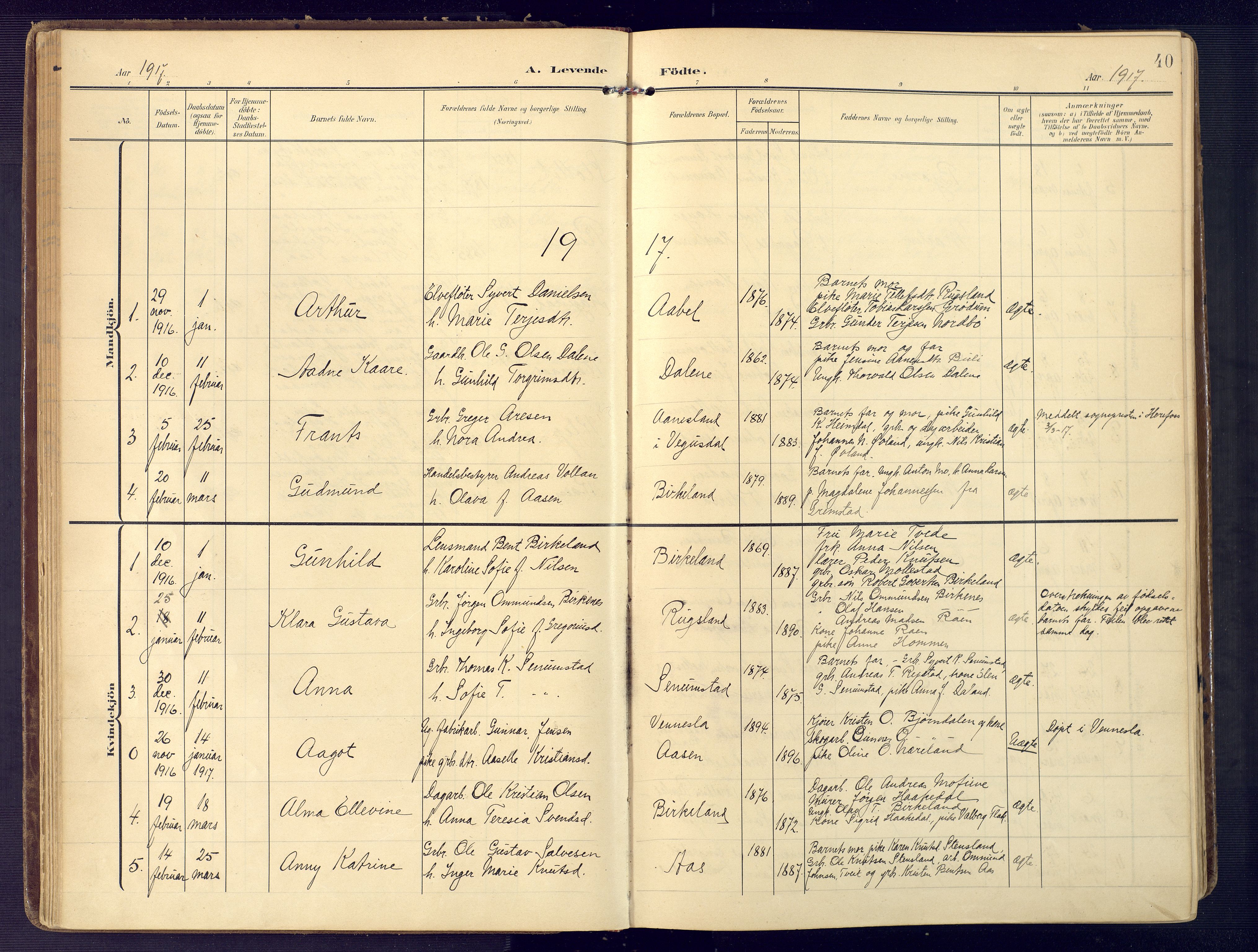 Birkenes sokneprestkontor, AV/SAK-1111-0004/F/Fa/L0006: Parish register (official) no. A 6, 1908-1932, p. 40