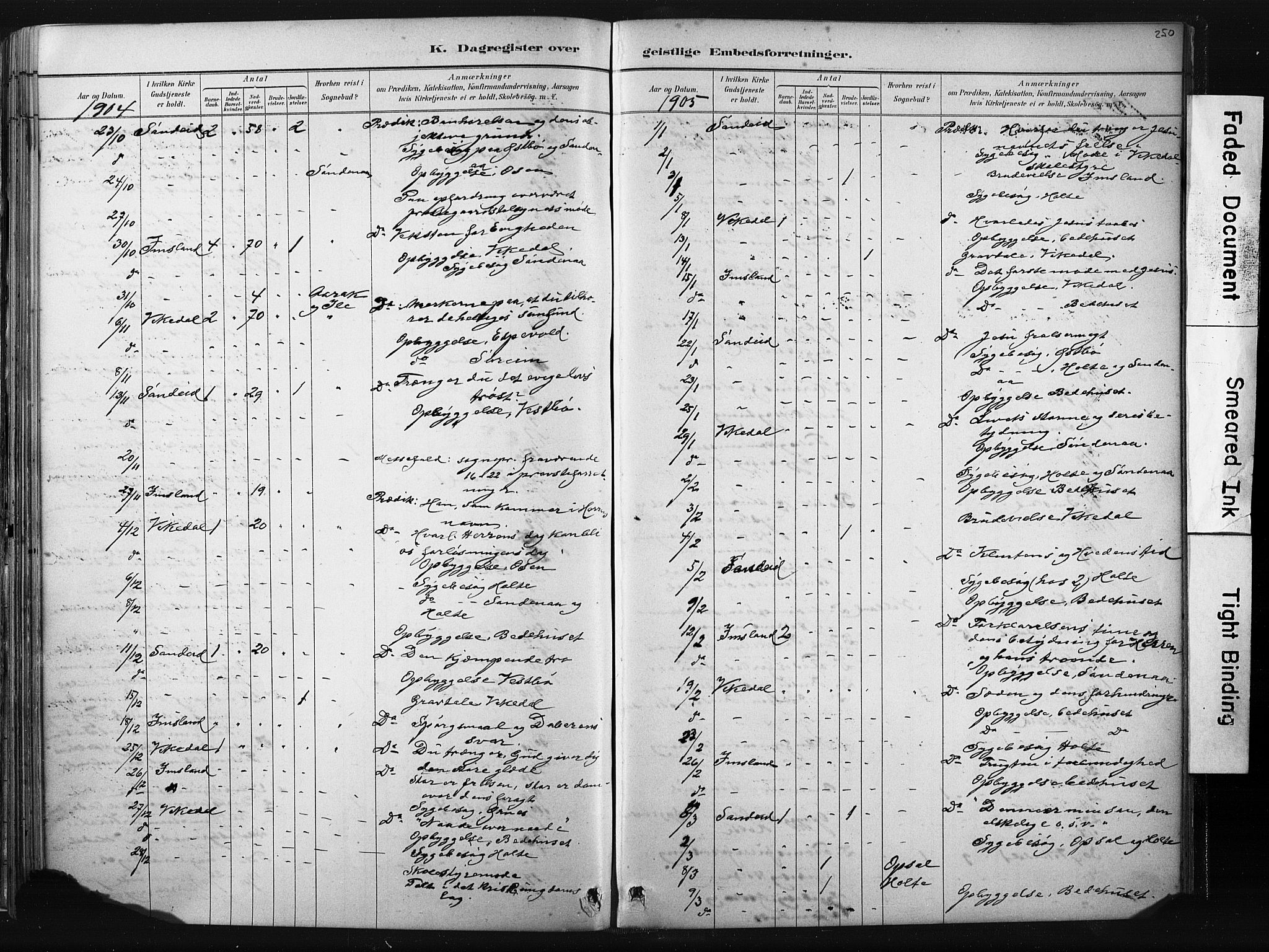 Vikedal sokneprestkontor, AV/SAST-A-101840/01/IV: Parish register (official) no. A 10, 1884-1907, p. 250